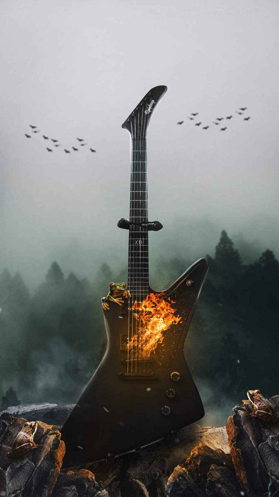 Guitarist Wallpapers