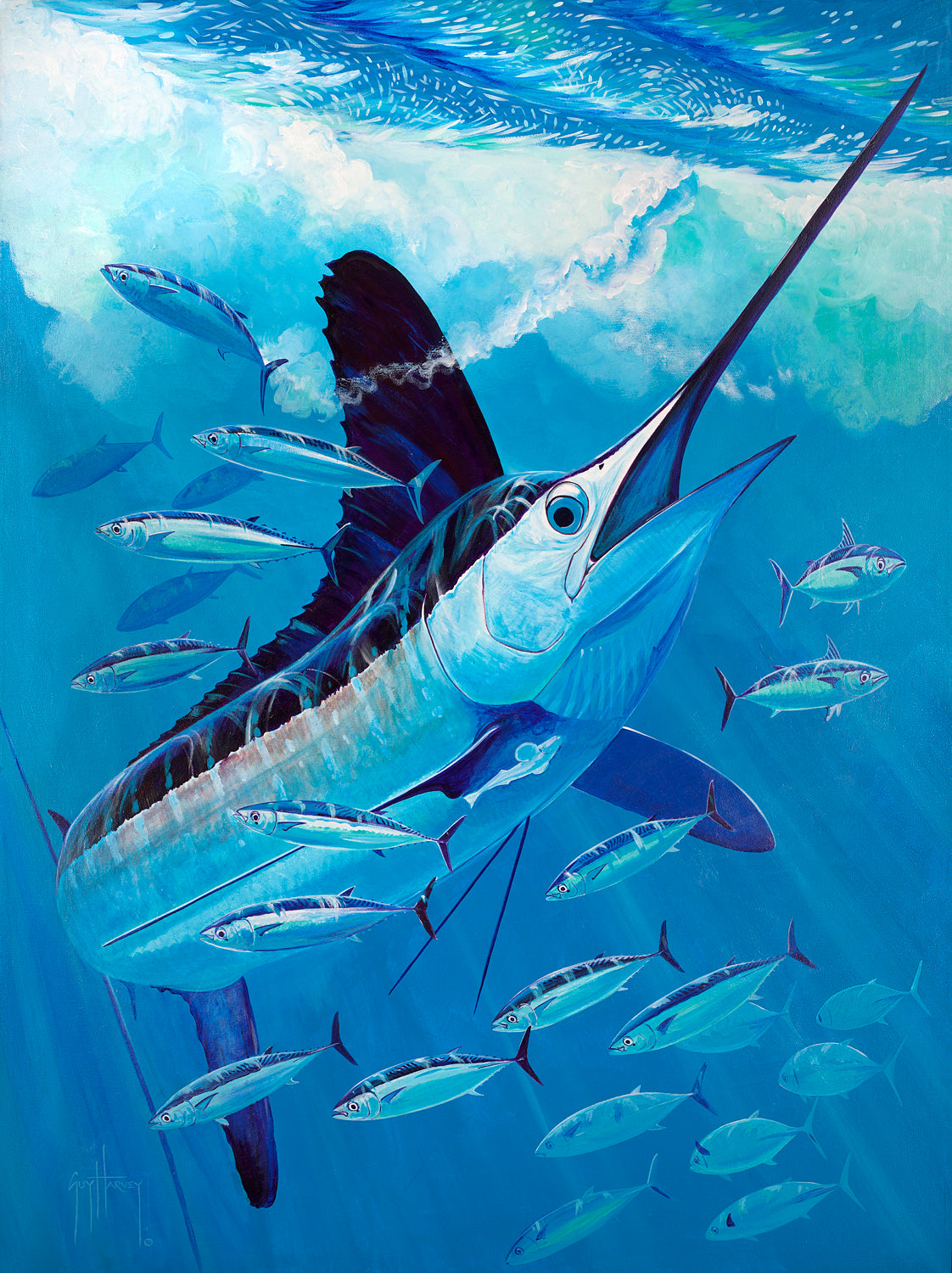 Guy Harvey Iphone Wallpapers