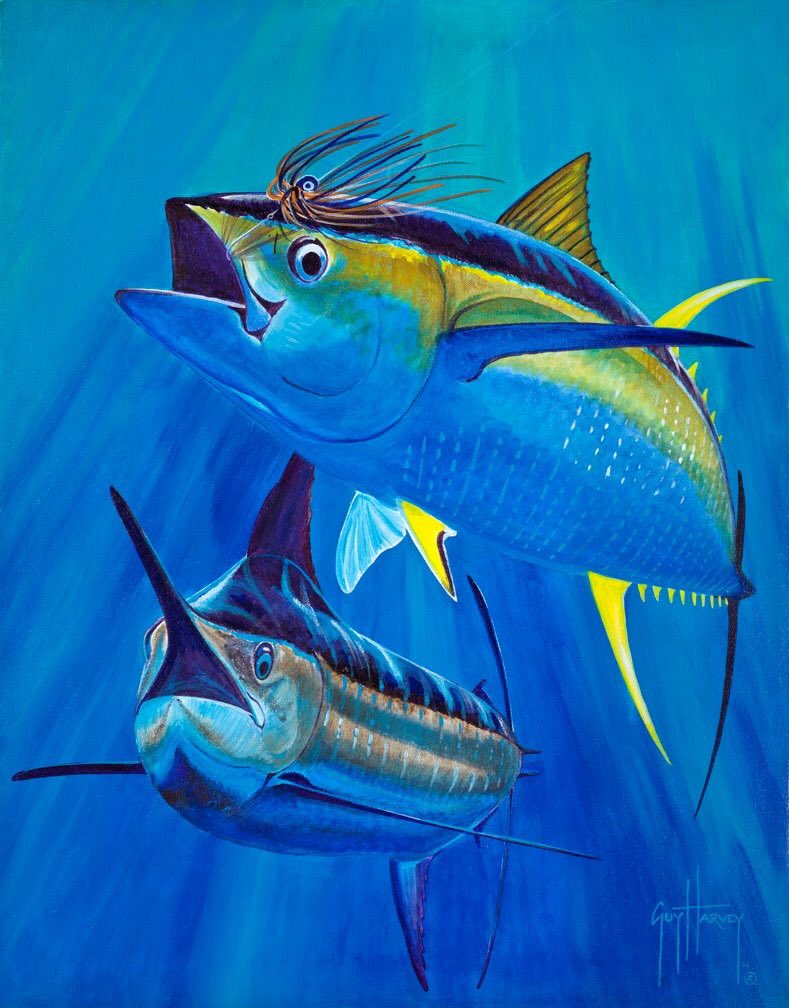 Guy Harvey Iphone Wallpapers