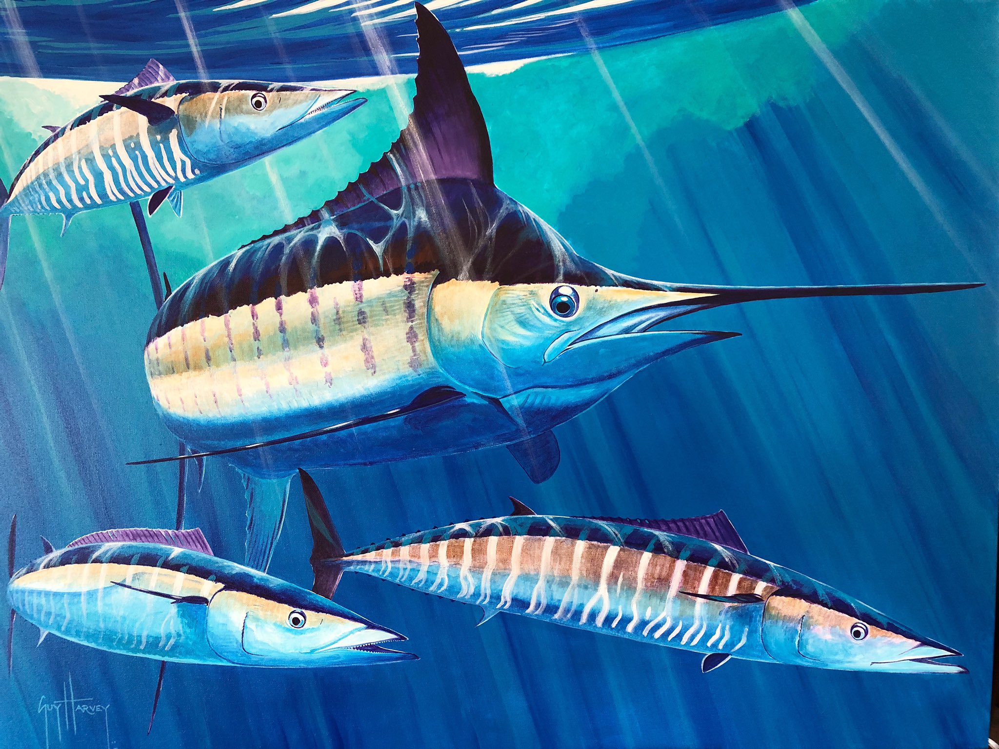 Guy Harvey Iphone Wallpapers