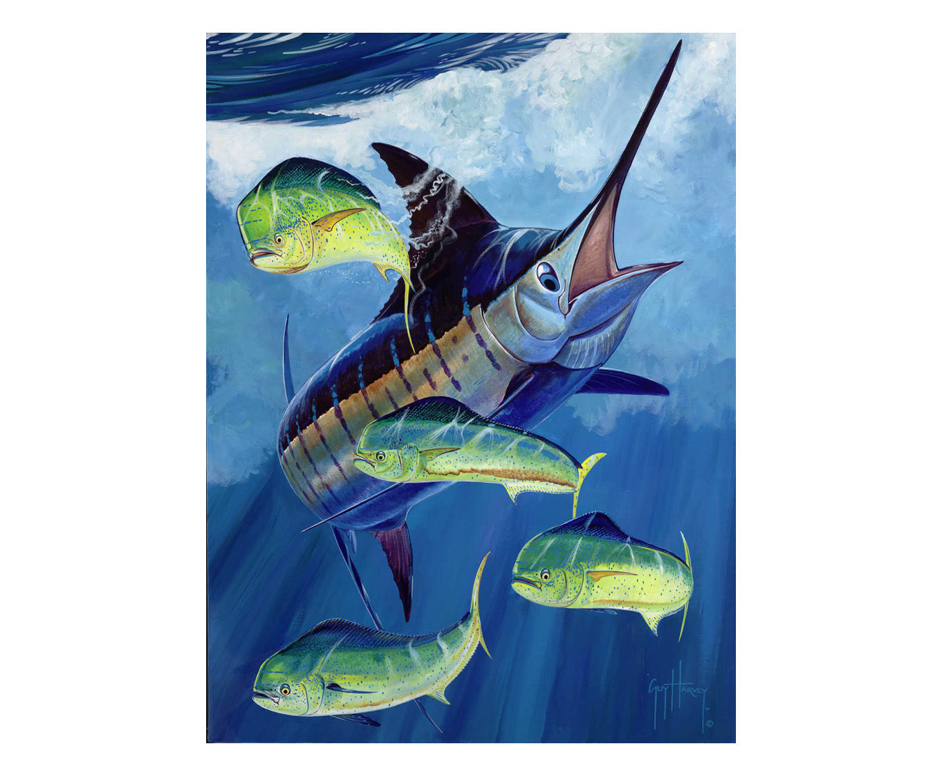 Guy Harvey Iphone Wallpapers