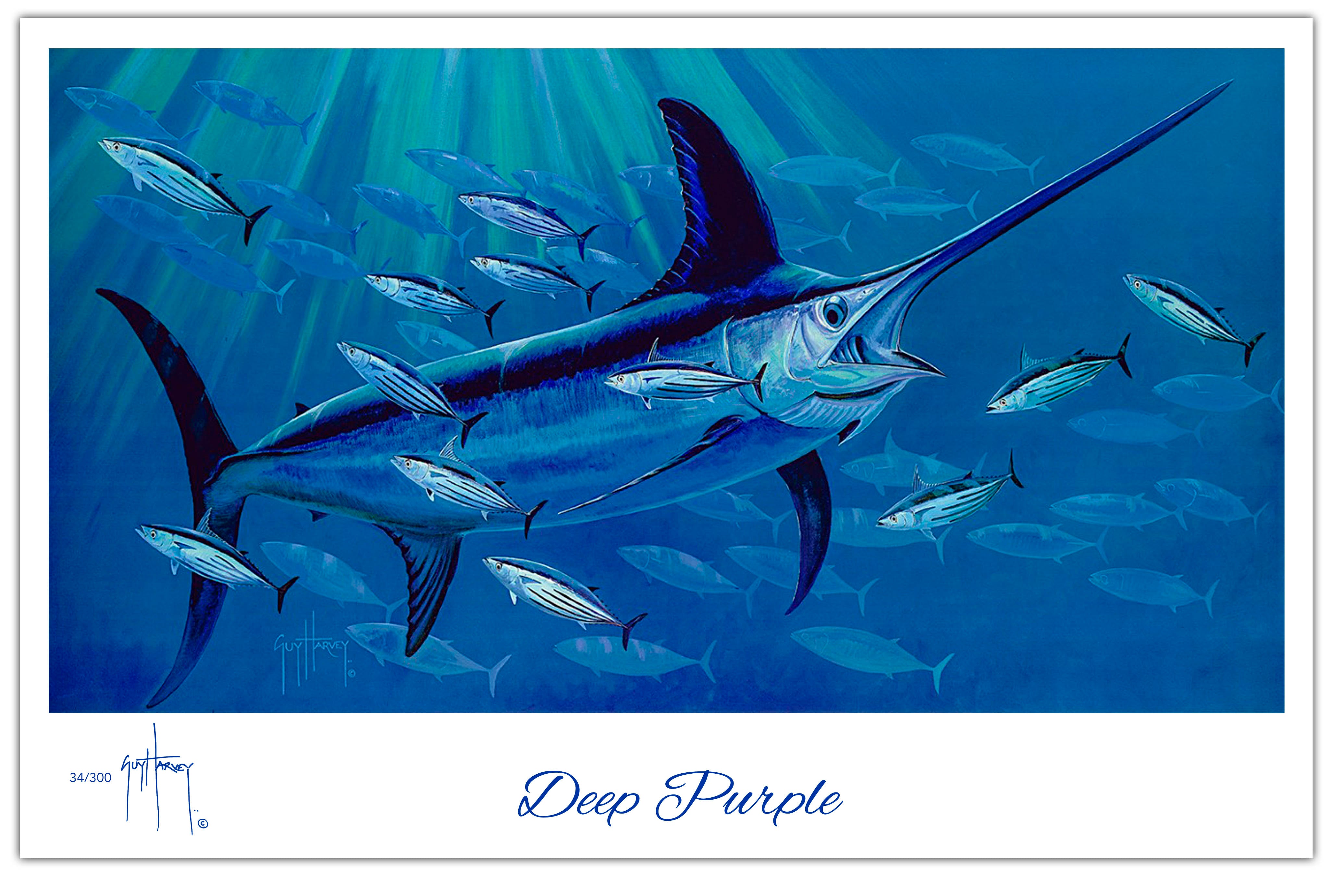 Guy Harvey Iphone Wallpapers