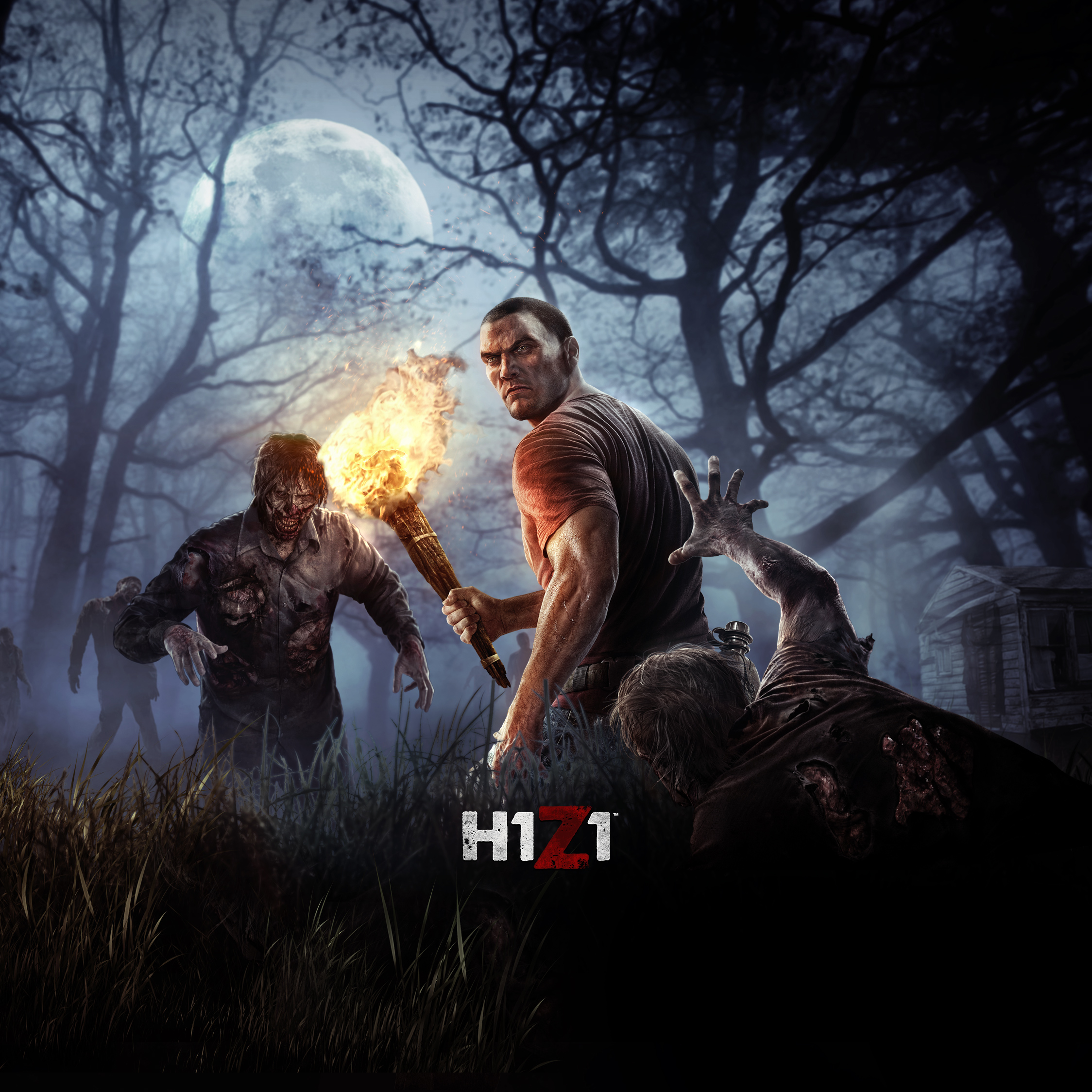 H1Z1 Pictures Wallpapers