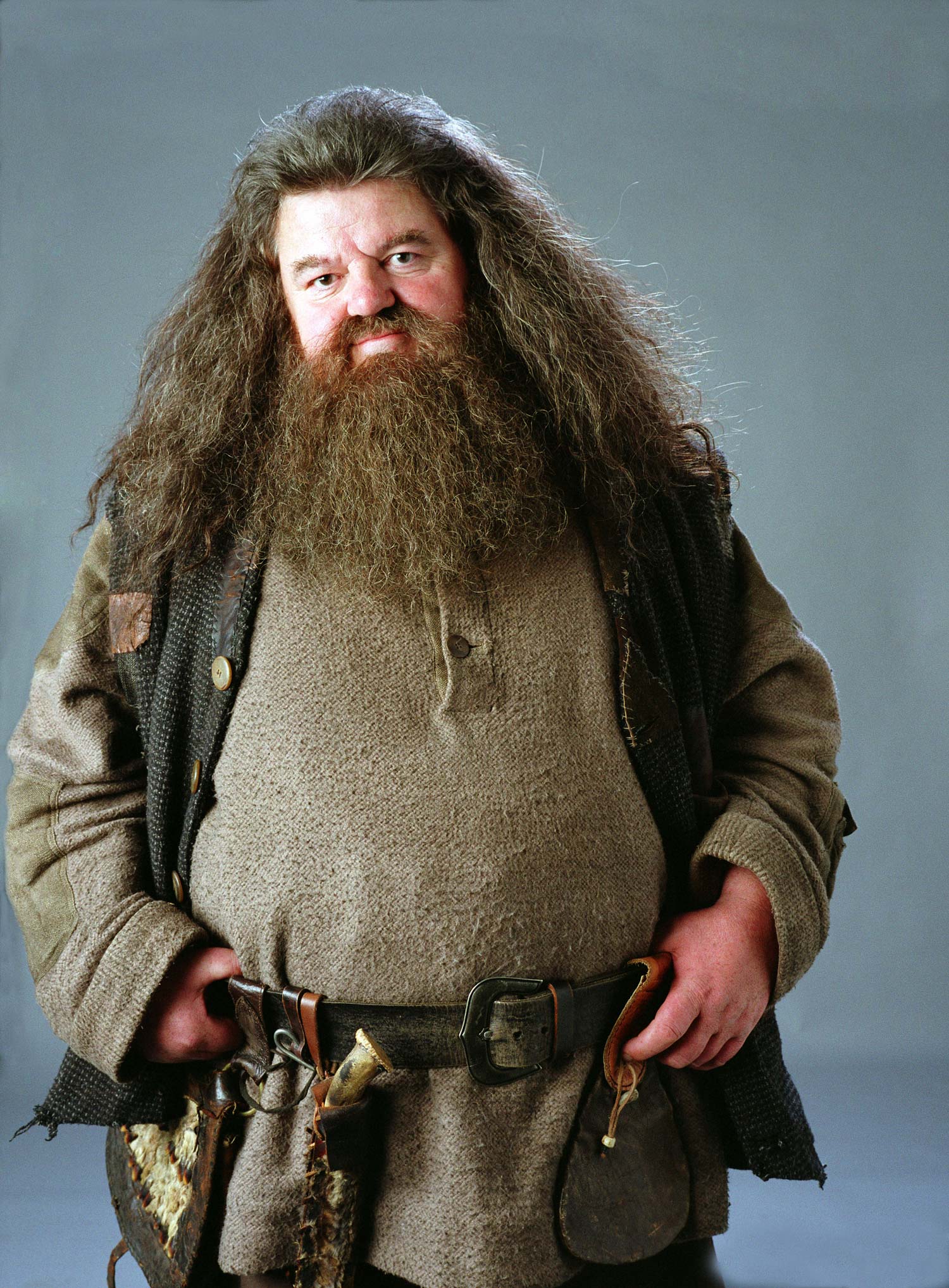 Hagrid Wallpapers