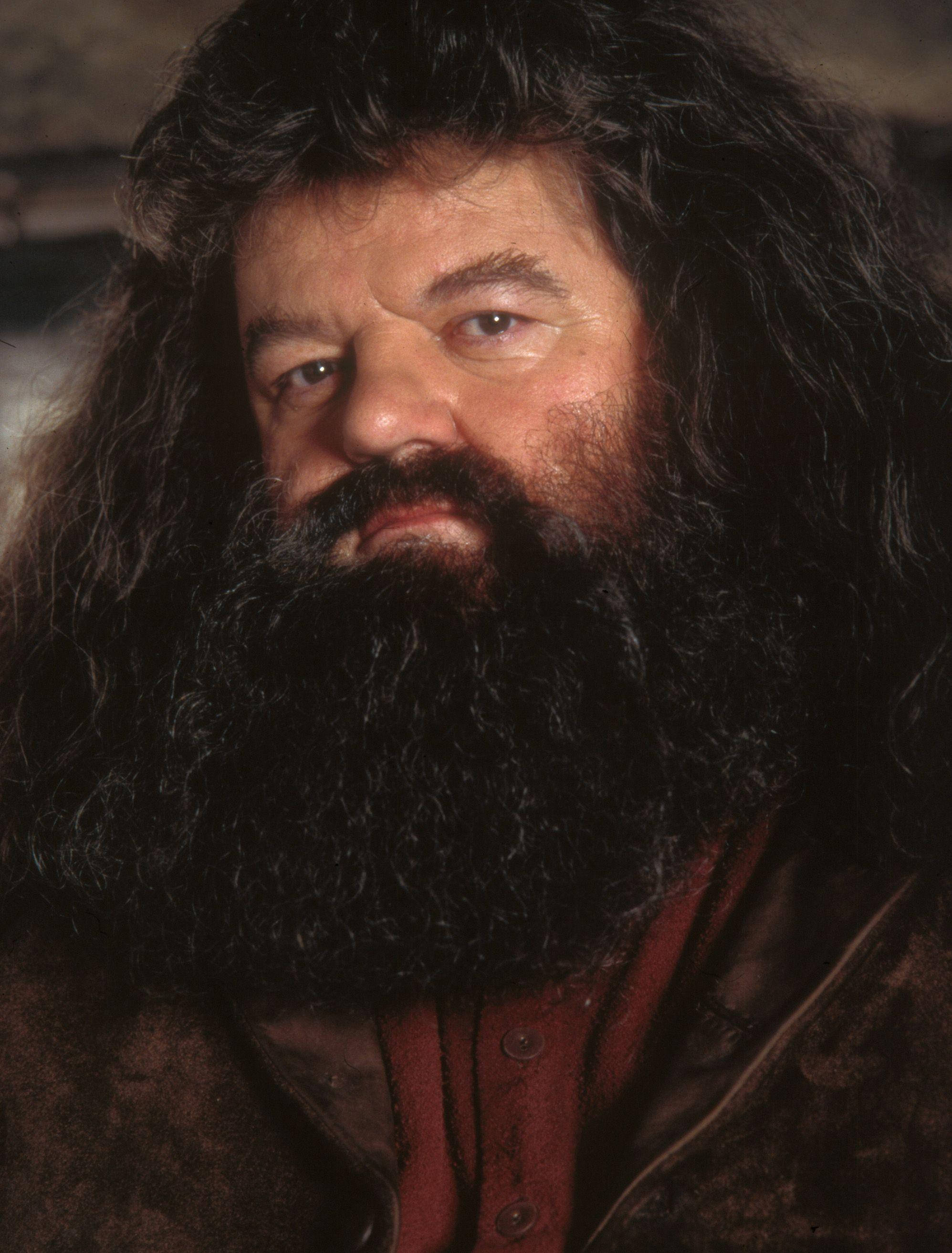 Hagrid Wallpapers