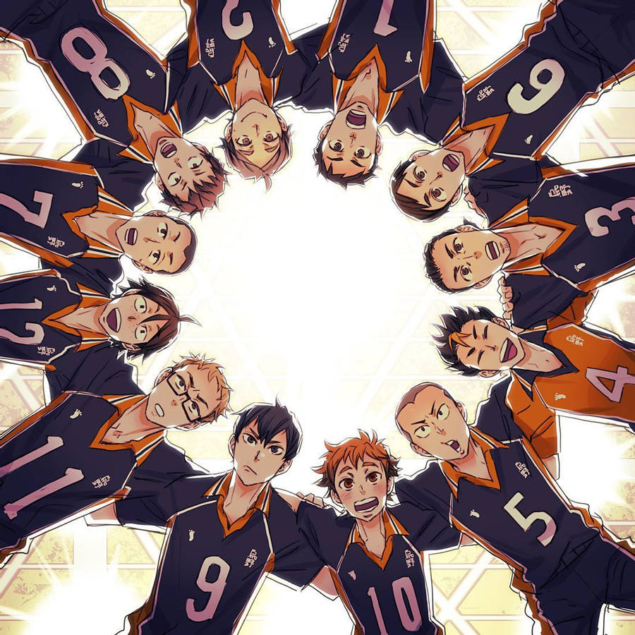 Haikyuu Group Photo Wallpapers