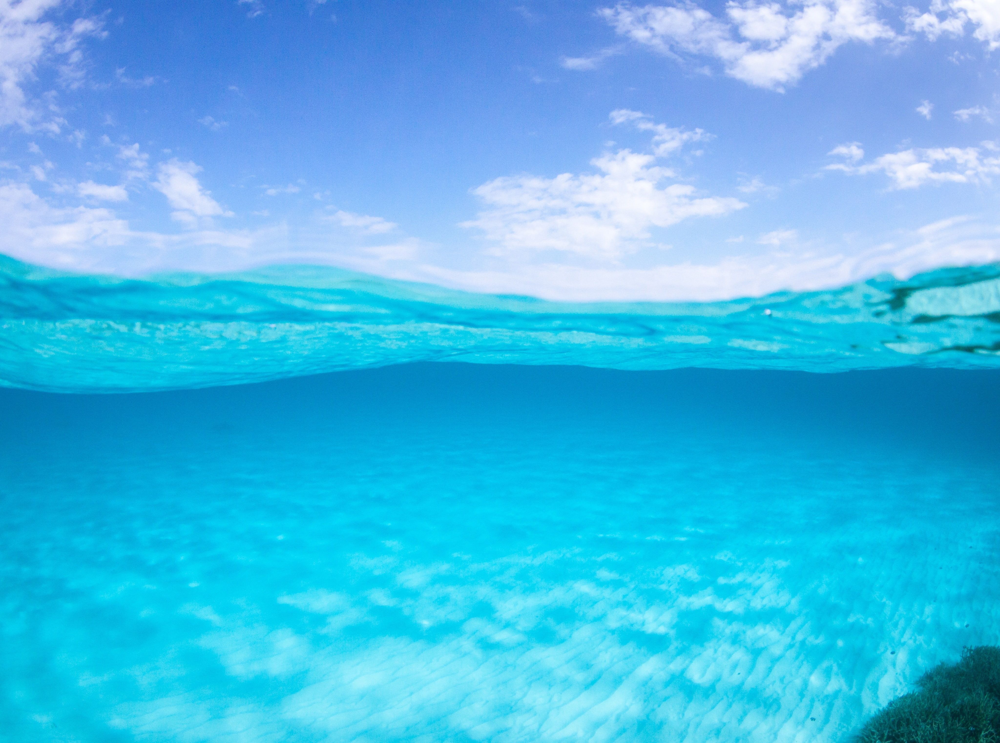 Half Underwater Ocean Wallpapers