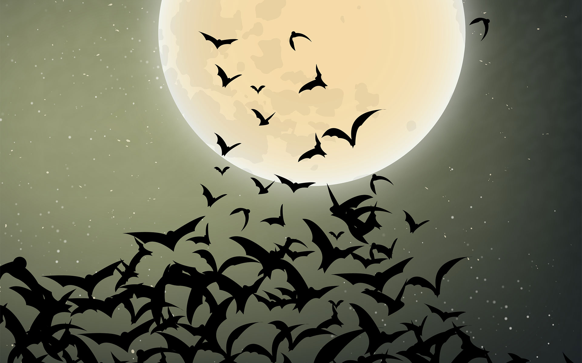 Halloween Bats Wallpapers