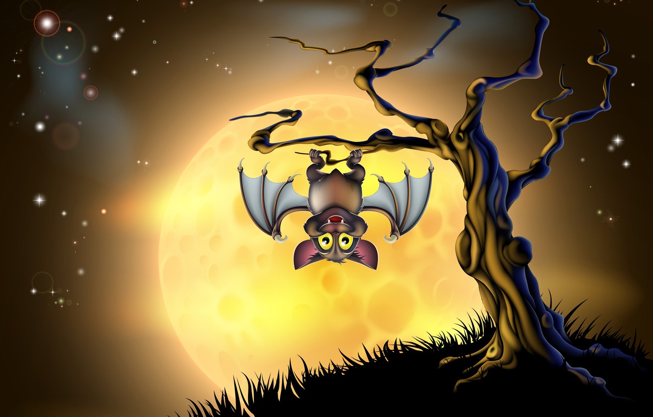 Halloween Bats Wallpapers