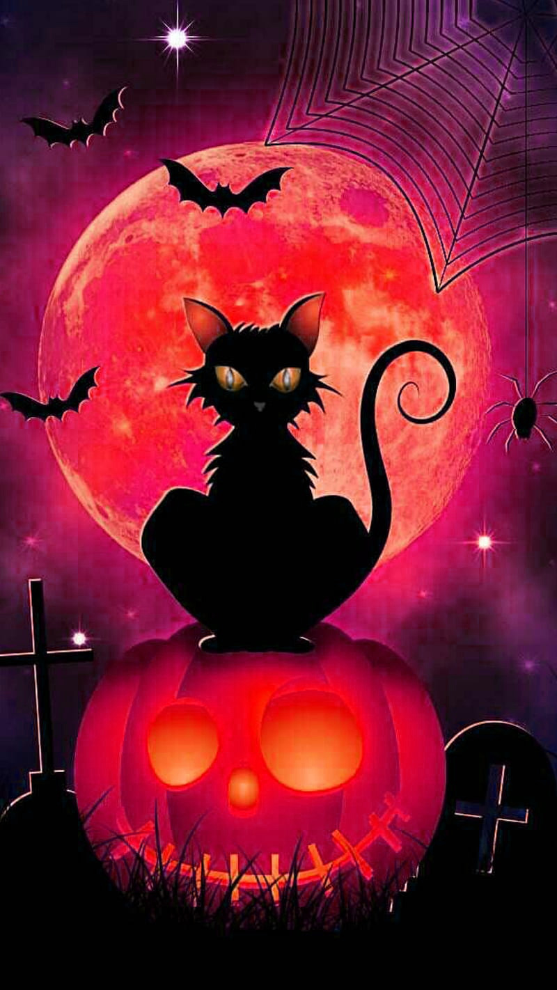 Halloween Cats Wallpapers