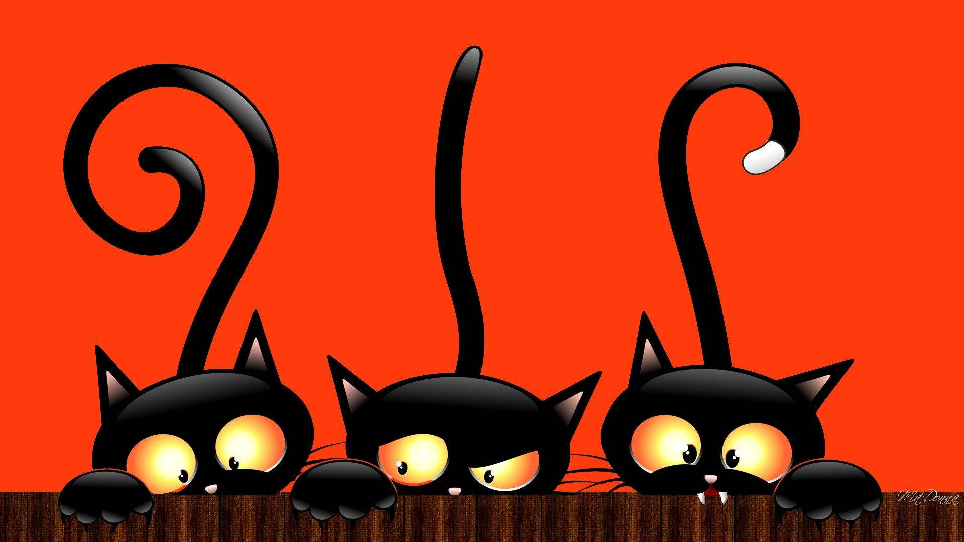 Halloween Cats Wallpapers