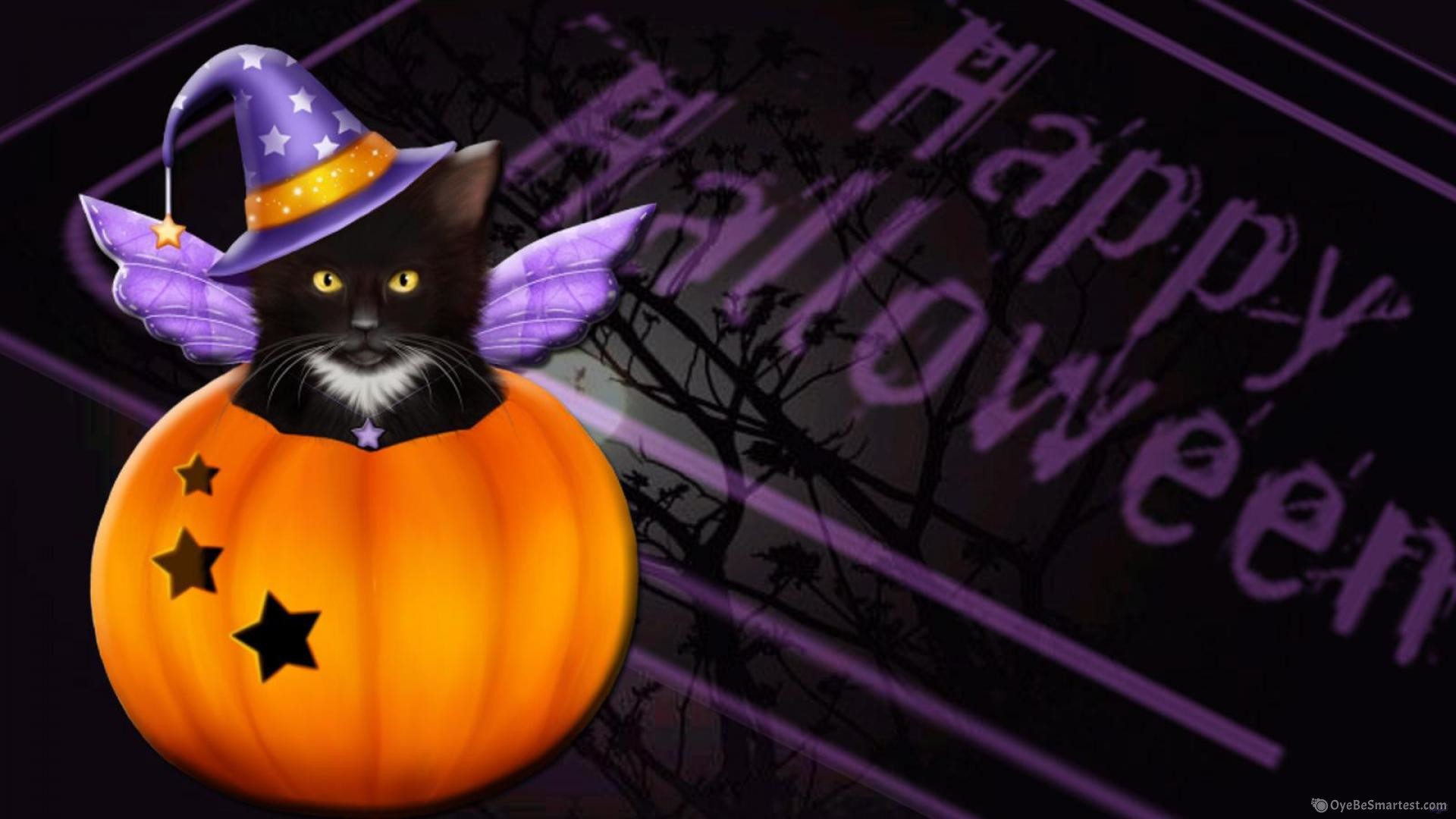 Halloween Cats Wallpapers