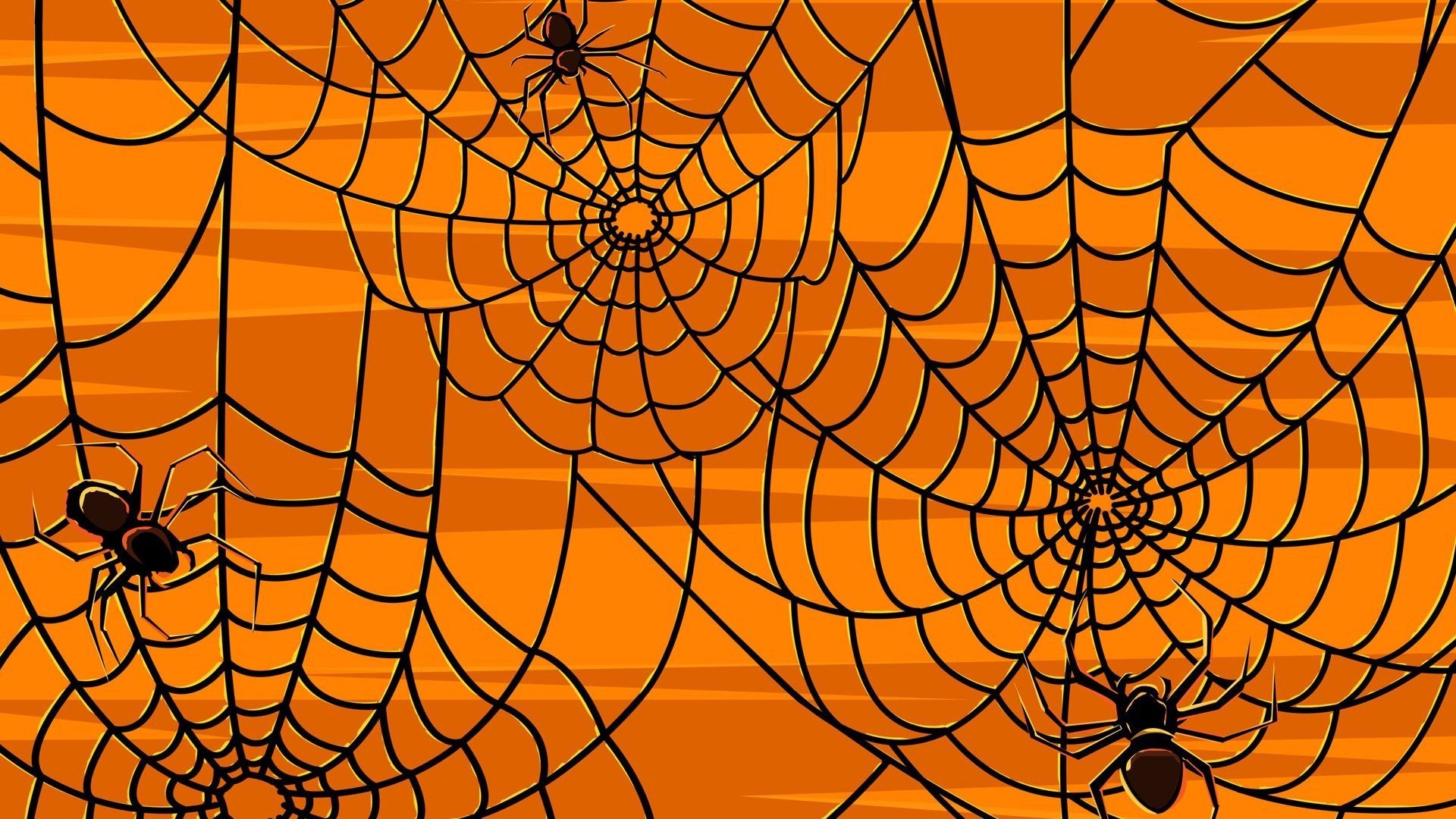 Halloween Spider Web Wallpapers