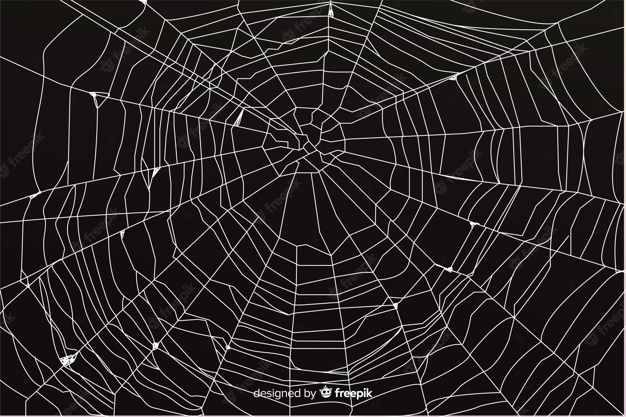 Halloween Spider Web Wallpapers