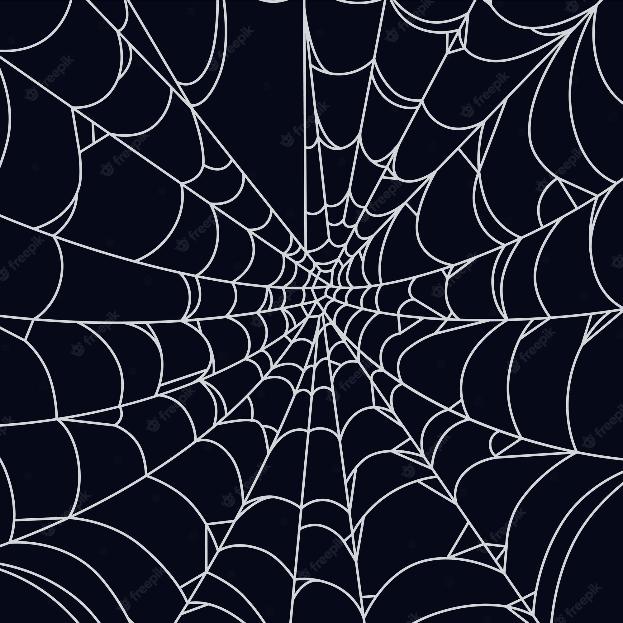 Halloween Spider Web Wallpapers