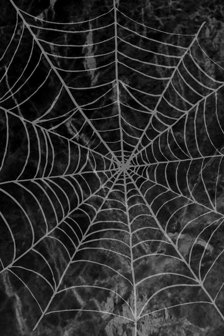 Halloween Spider Web Wallpapers