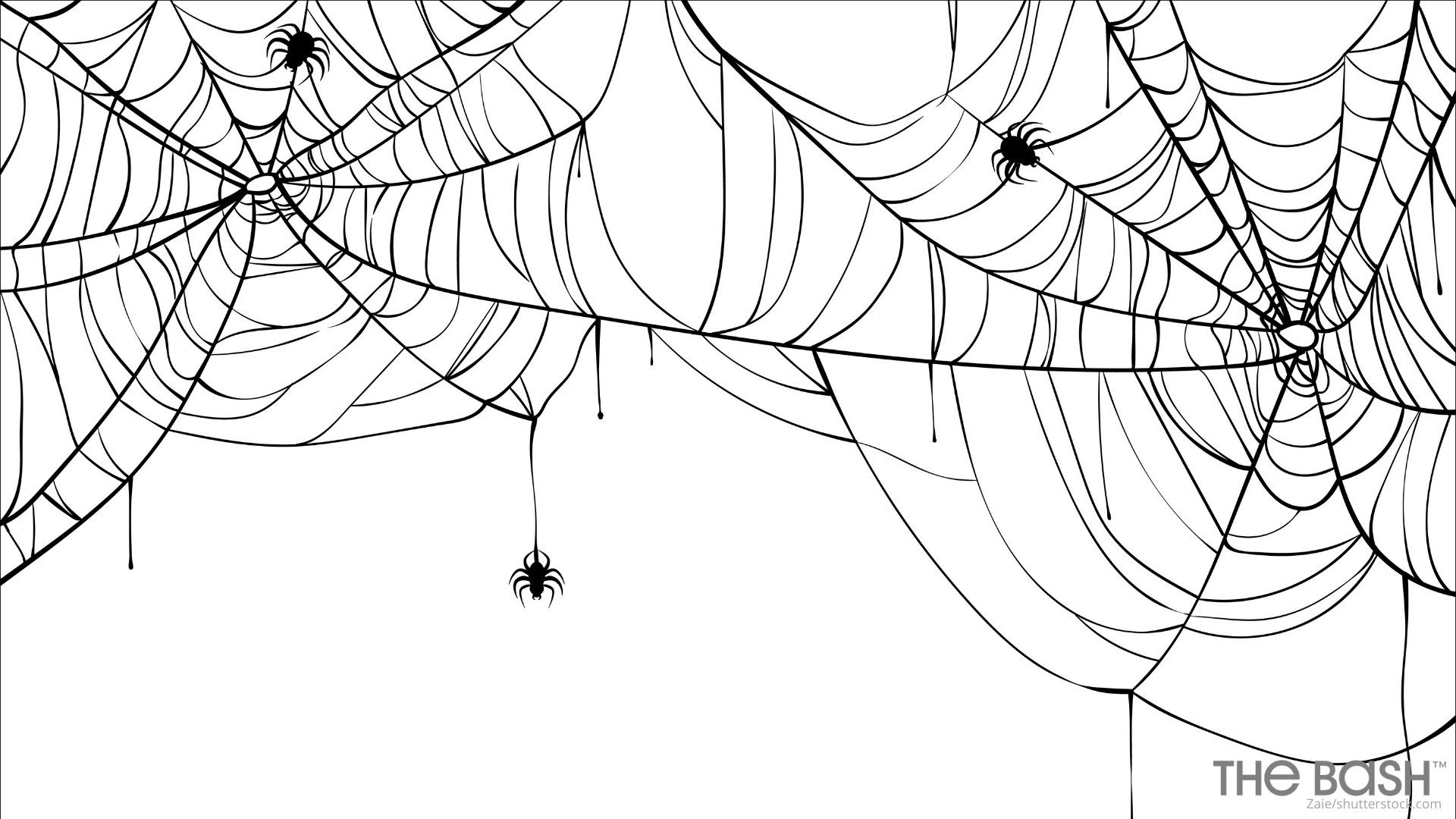 Halloween Spider Web Wallpapers