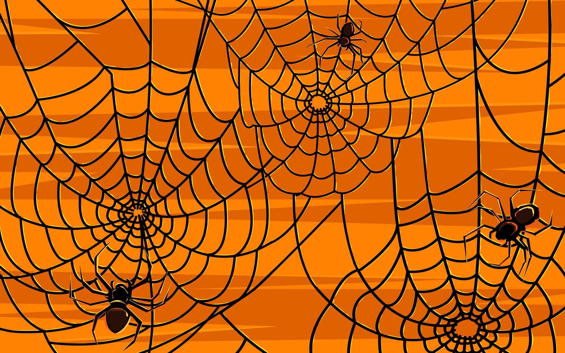 Halloween Spider Web Wallpapers