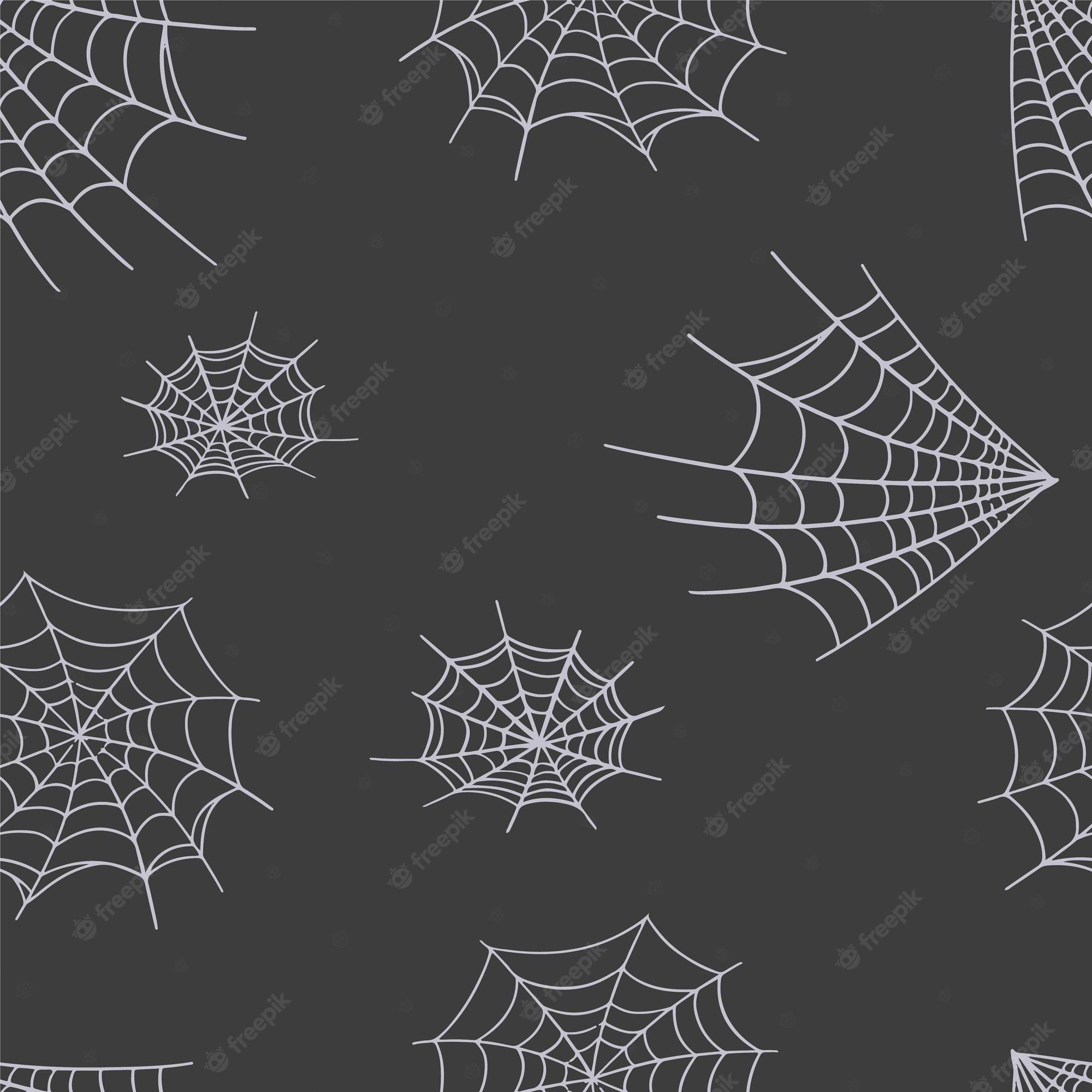 Halloween Spider Web Wallpapers