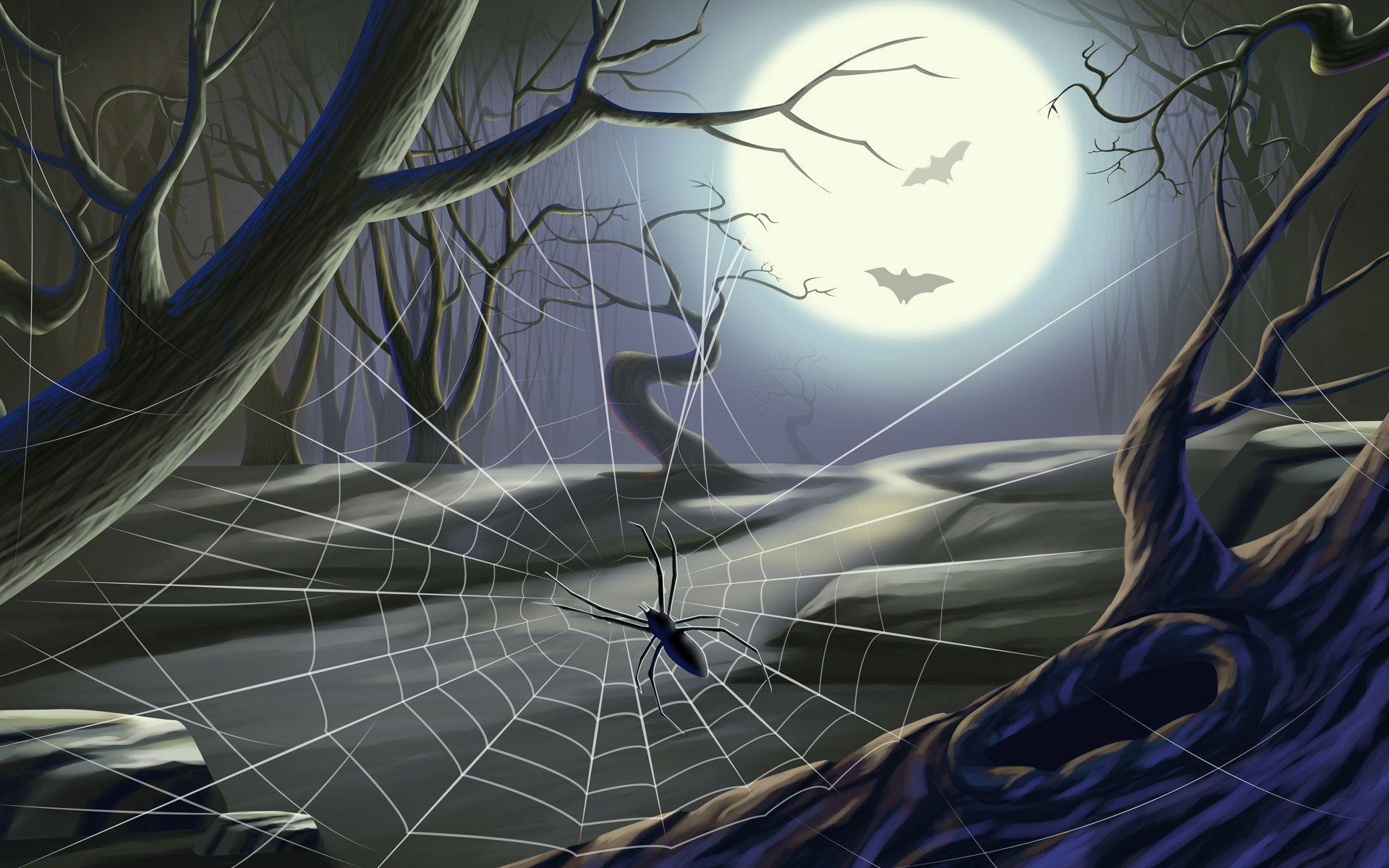 Halloween Spider Web Wallpapers