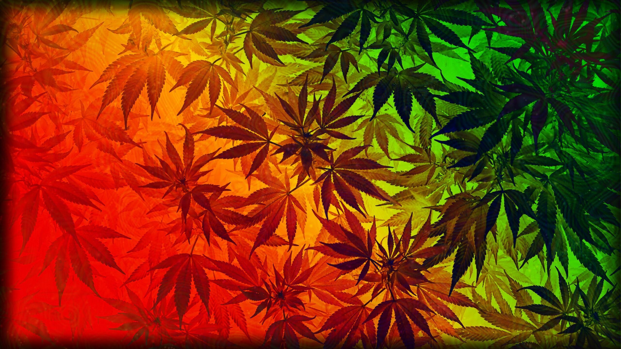 Halloween Weed Wallpapers