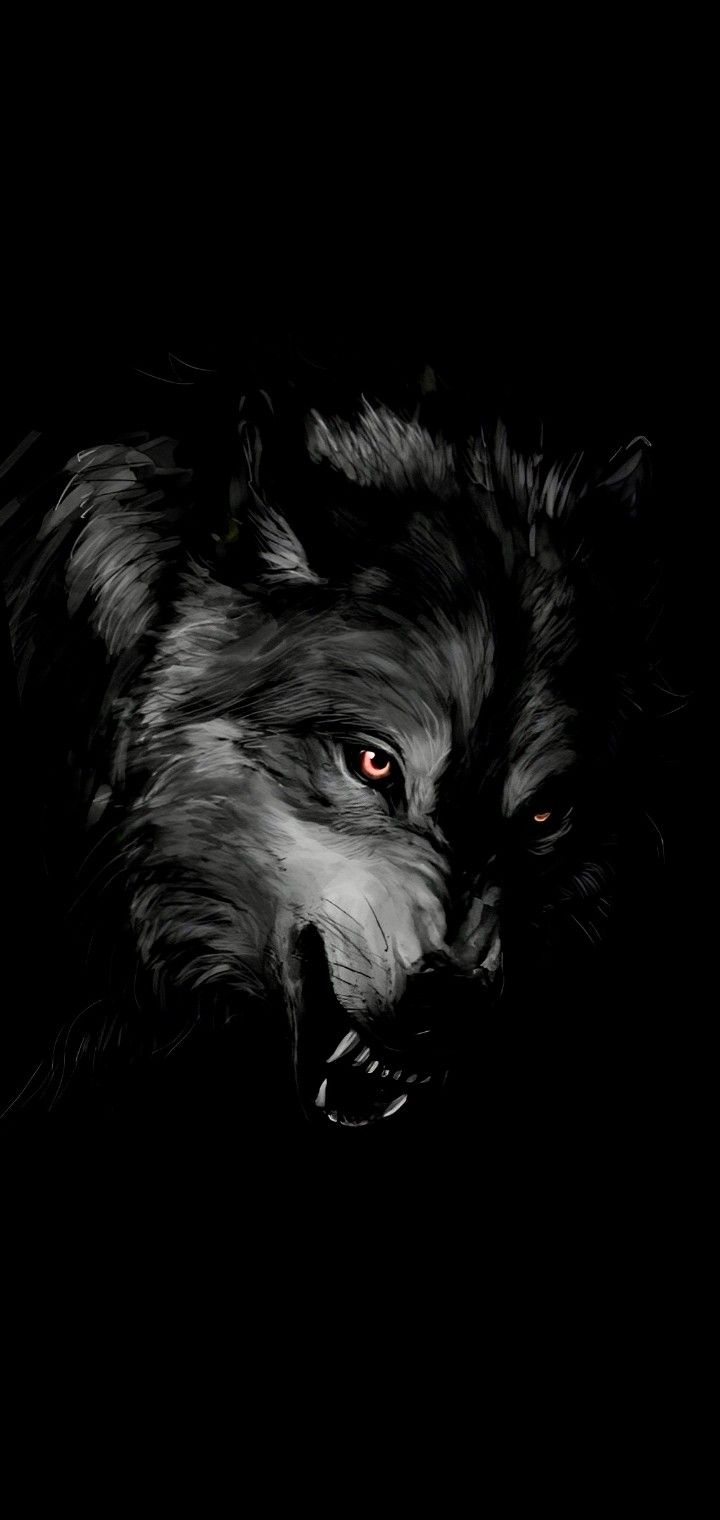 Halloween Wolf Wallpapers