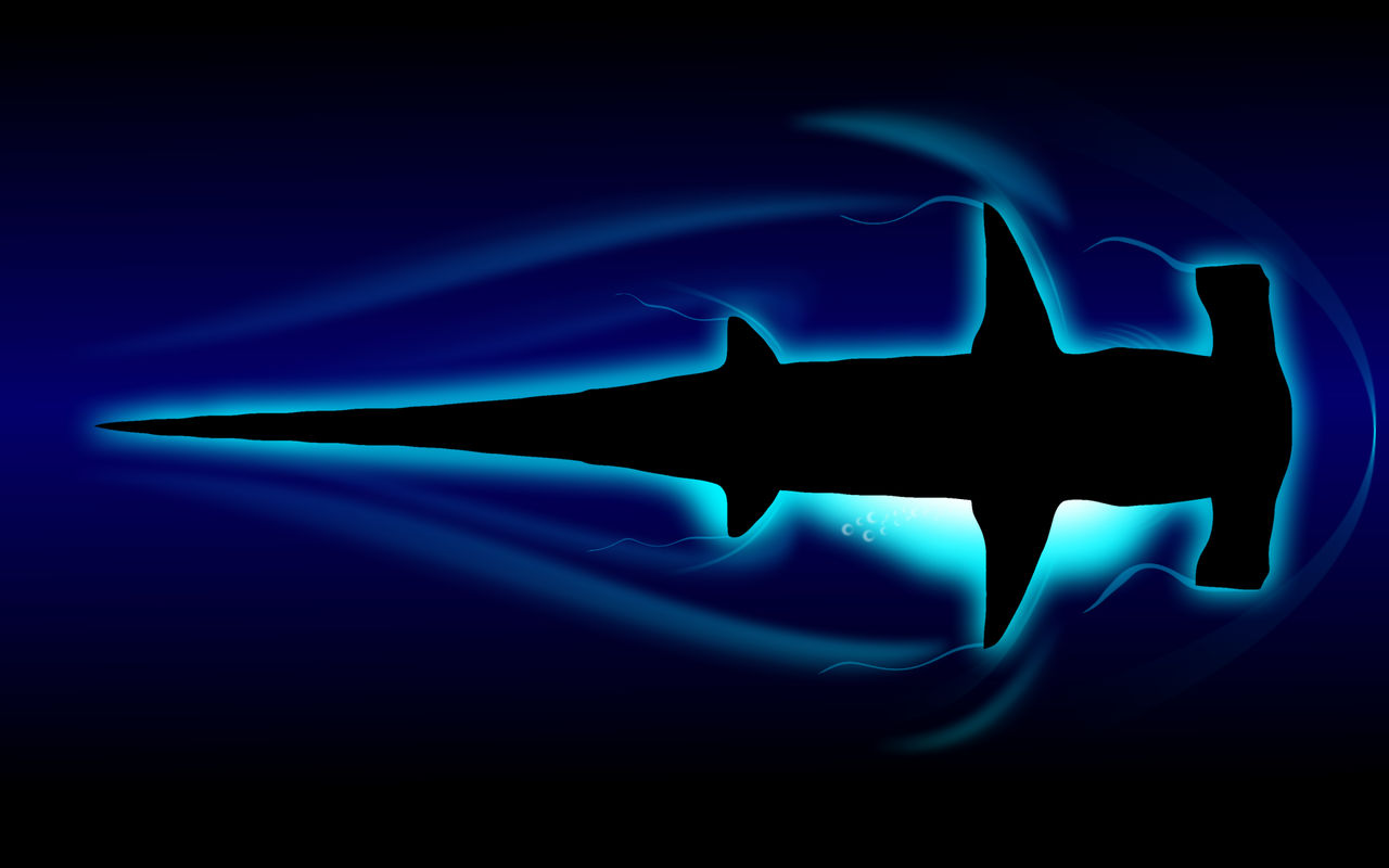 Hammerhead Shark Wallpapers