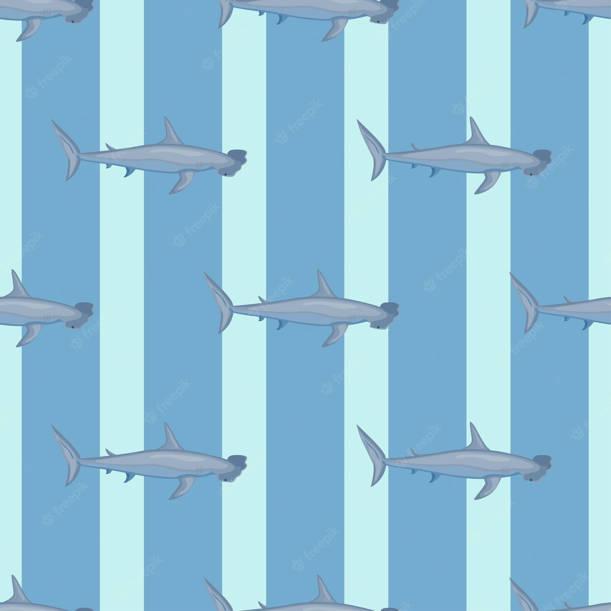 Hammerhead Shark Wallpapers