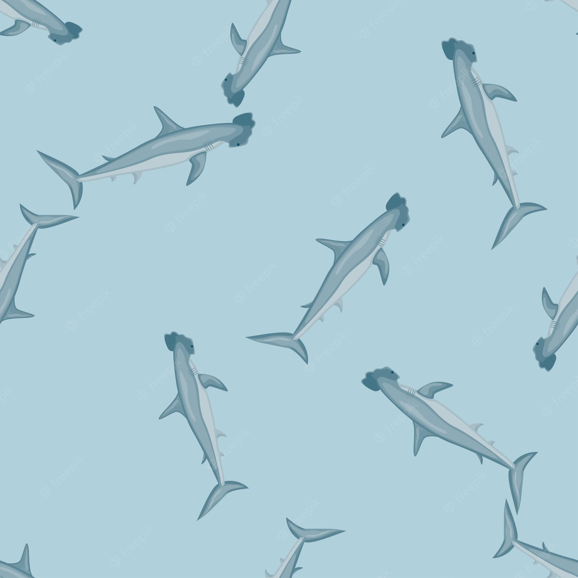 Hammerhead Shark Wallpapers