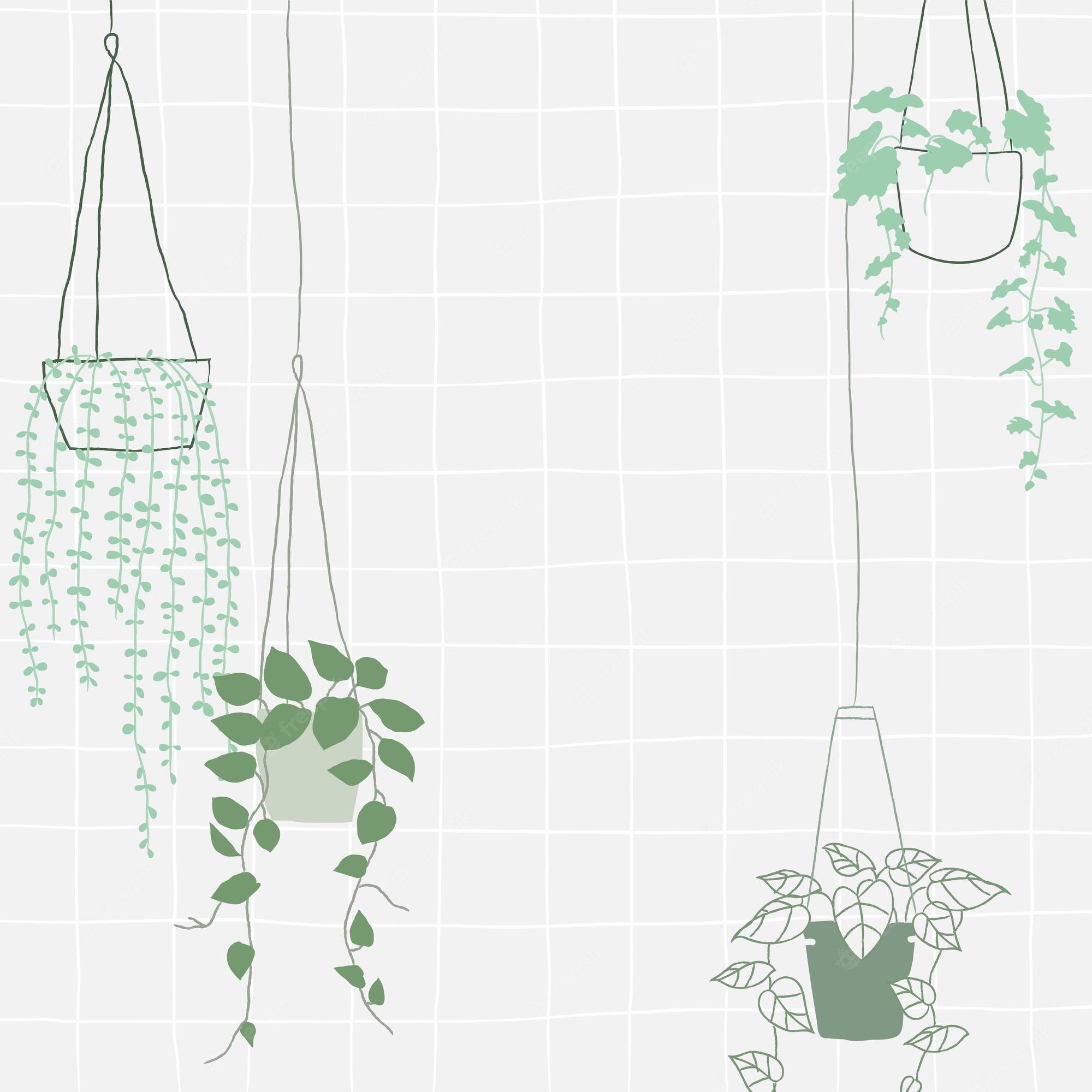 Hanging Plant Wallpapers