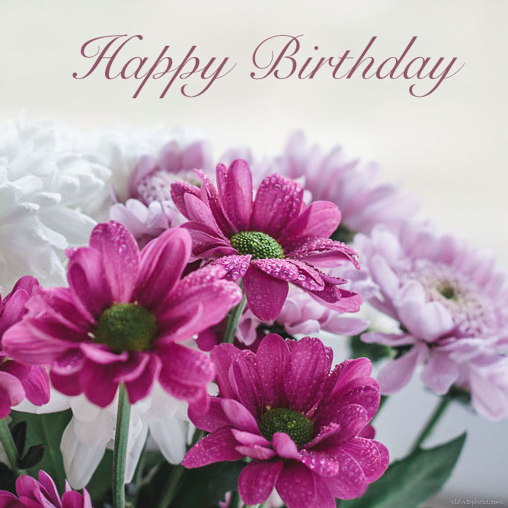 Happy Birthday Flowers Wallpapers