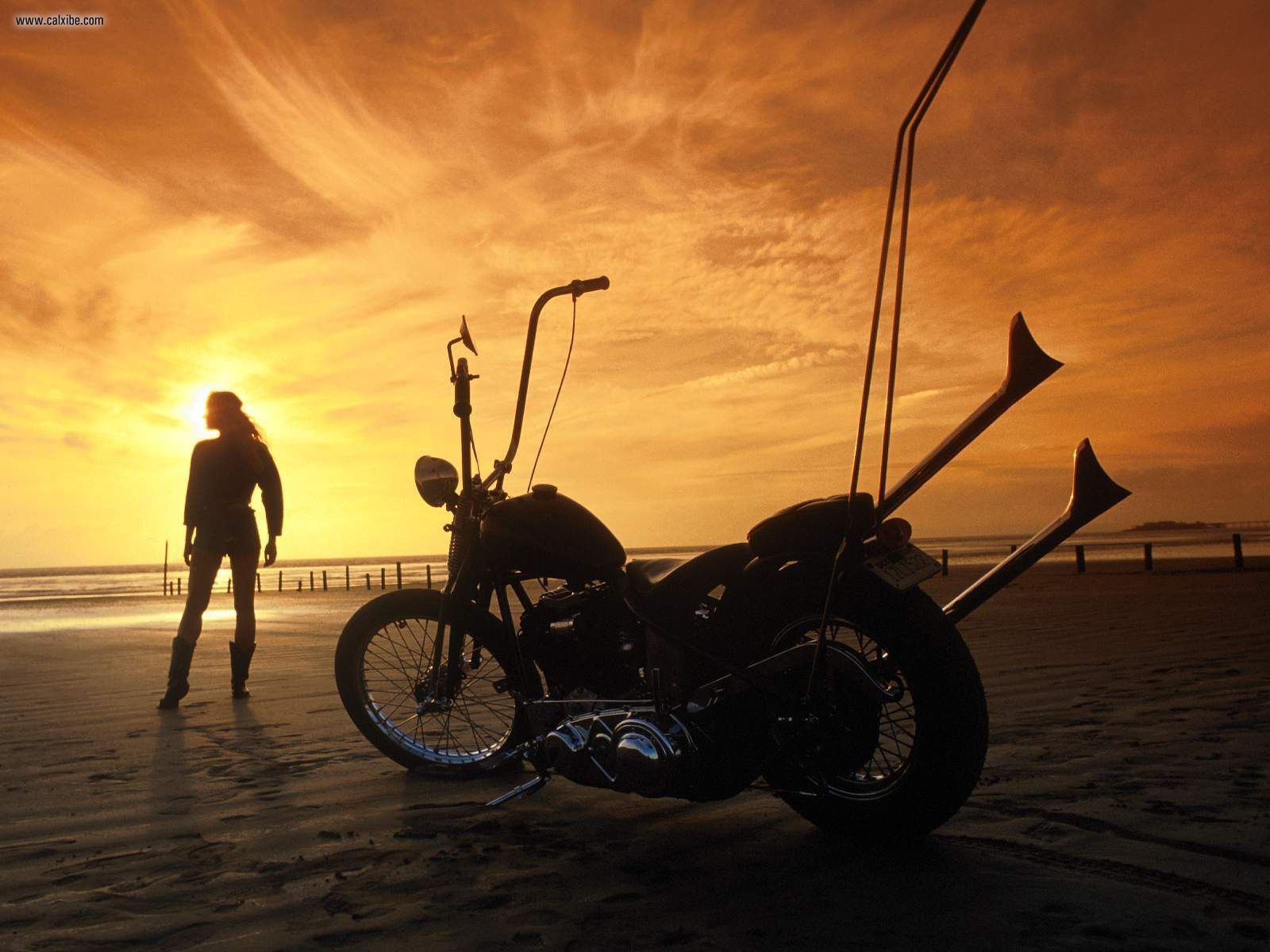 Harley Davidson Sunset Wallpapers