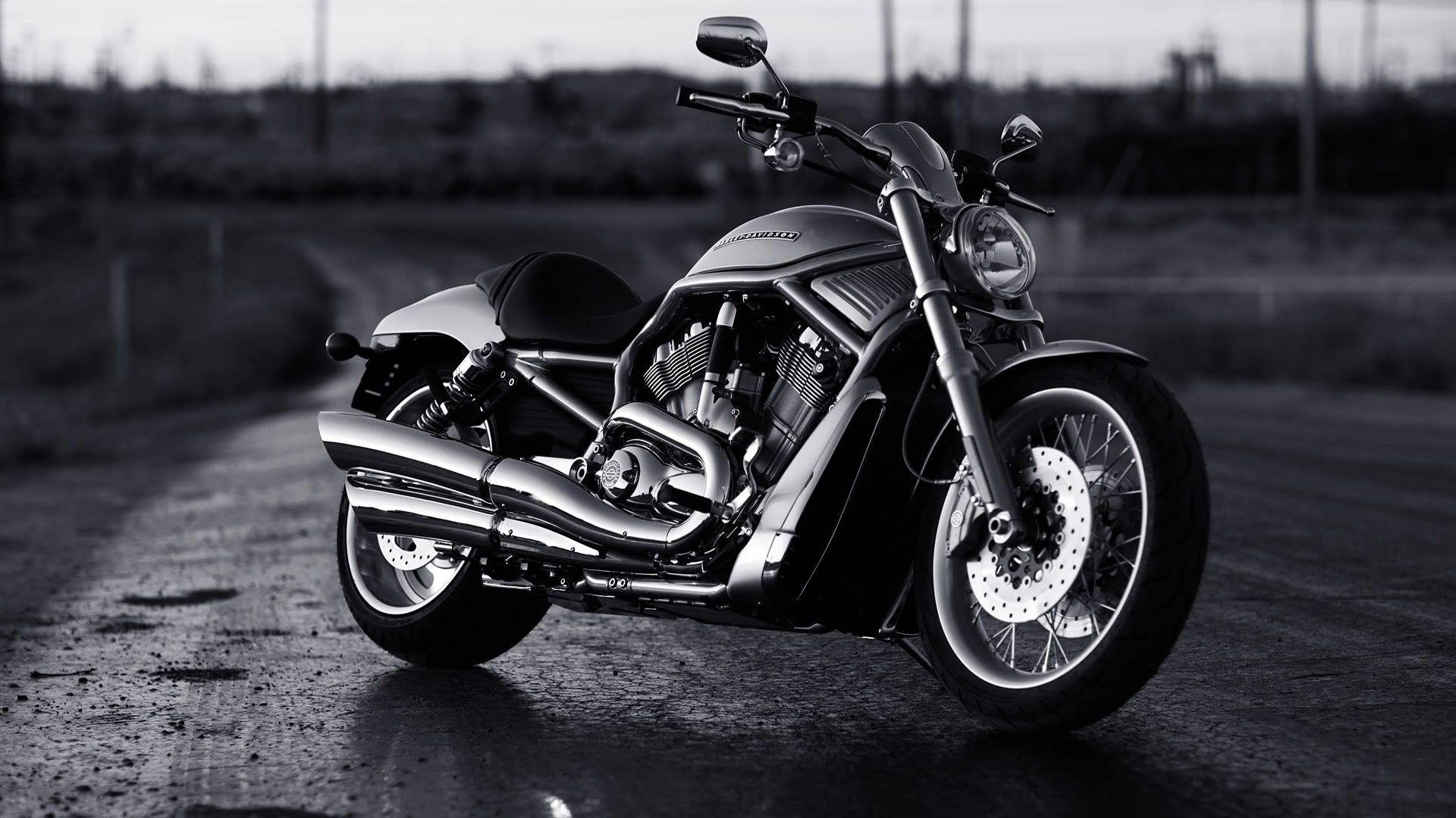 Harley Davidson V Rod Images Wallpapers