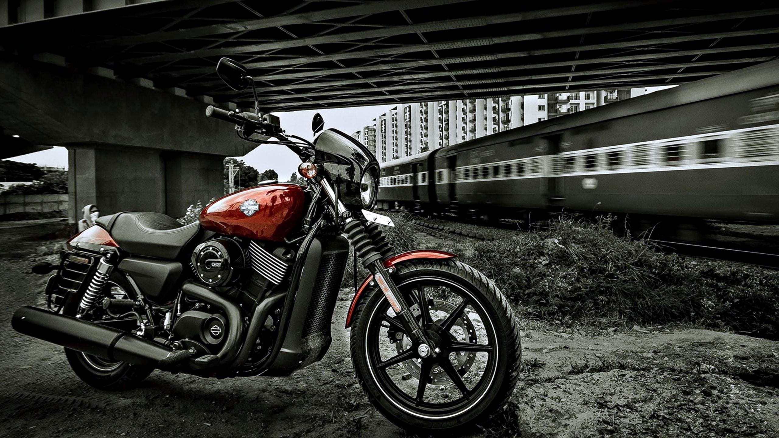 Harley Davidson 4K Wallpapers