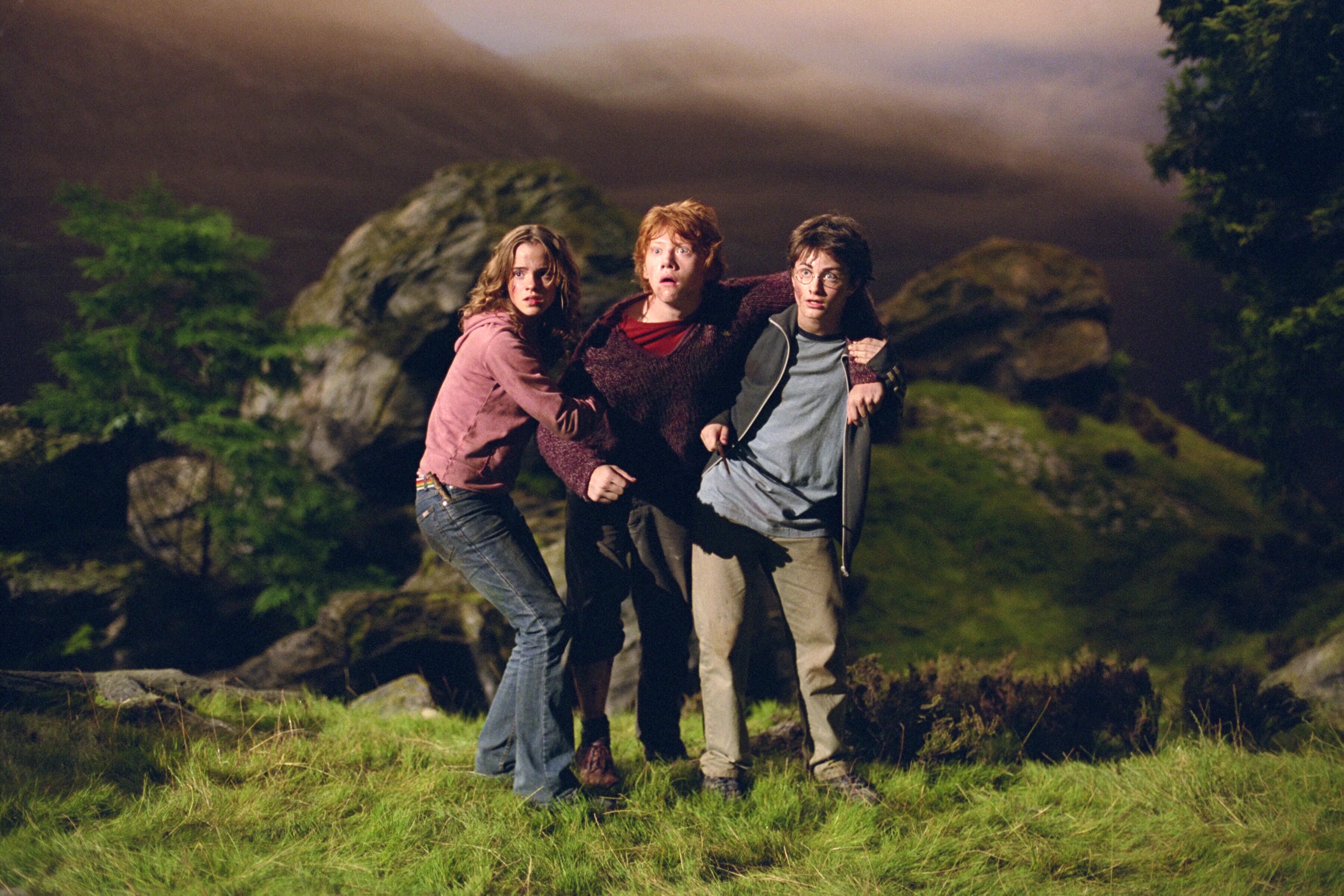 Harry Hermione And Ron Wallpapers