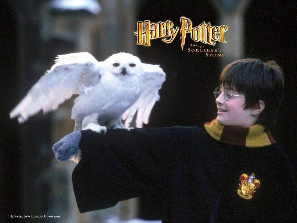 Harry Potter And The Sorcerer'S Stone Wallpapers