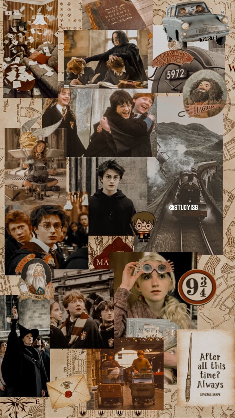 Harry Potter Characters Wallpapers