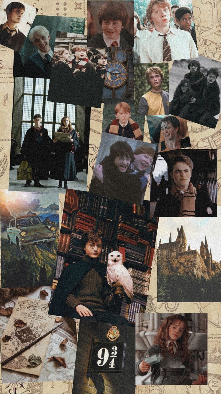 Harry Potter Characters Wallpapers