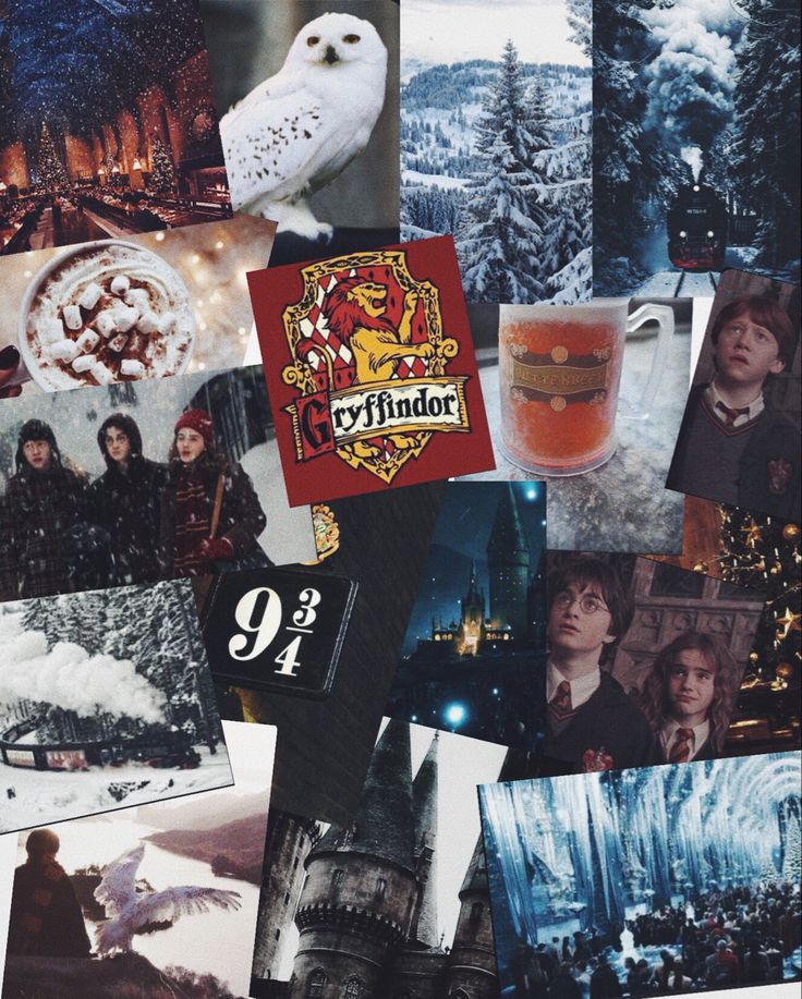 Harry Potter Winter Wallpapers