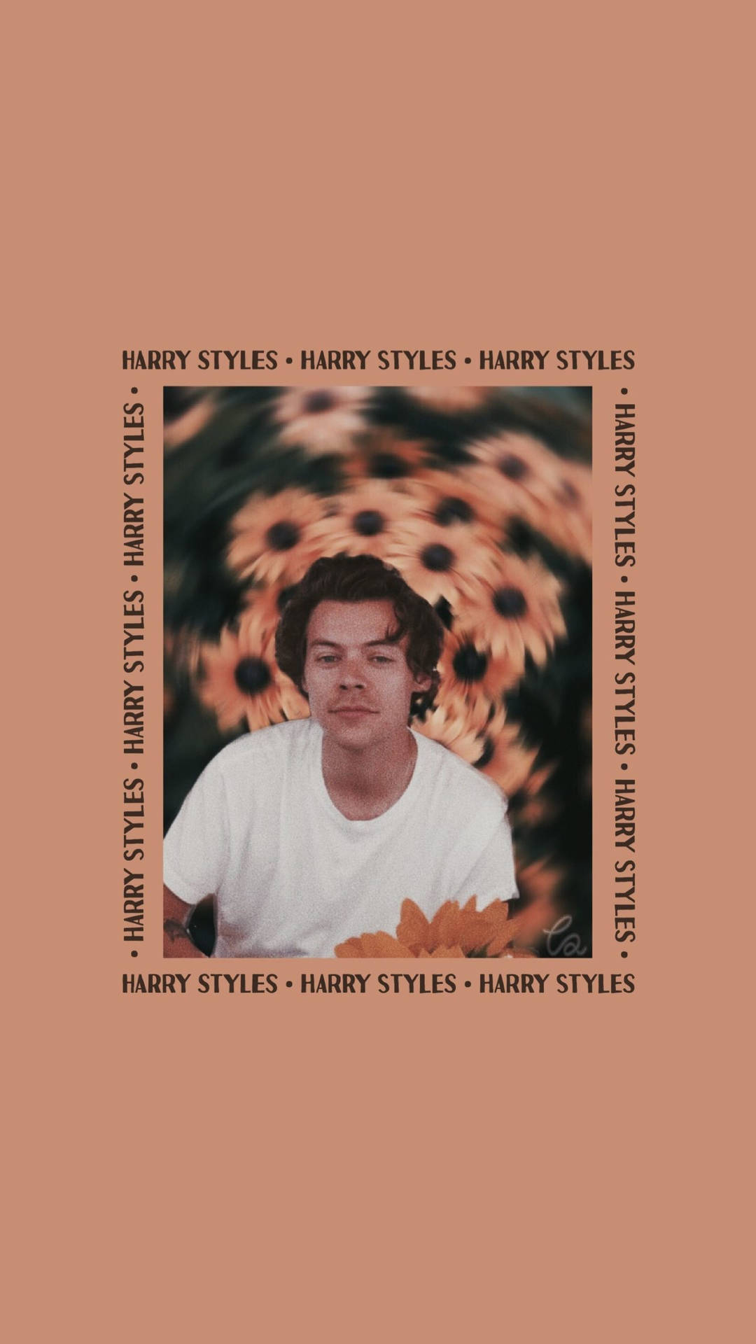 Harry Styles Aesthetic Wallpapers