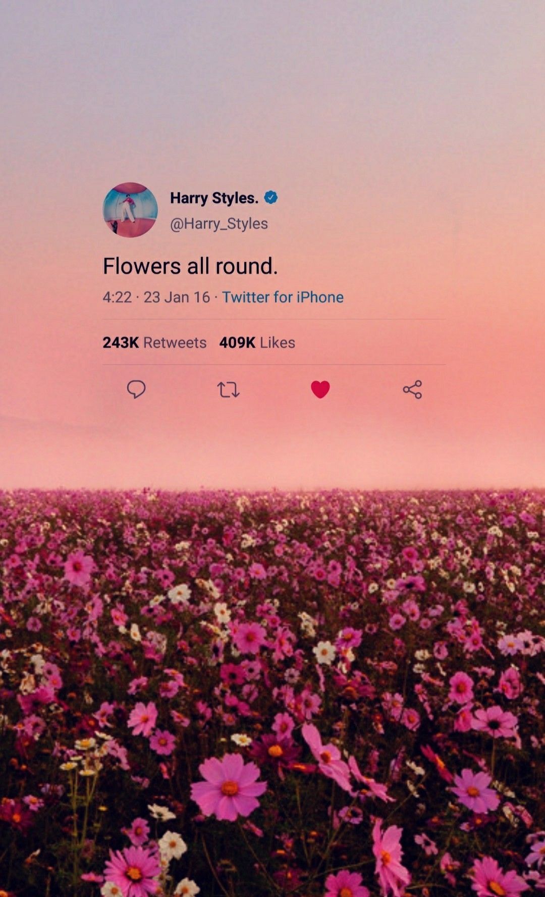 Harry Styles Quotes Wallpapers