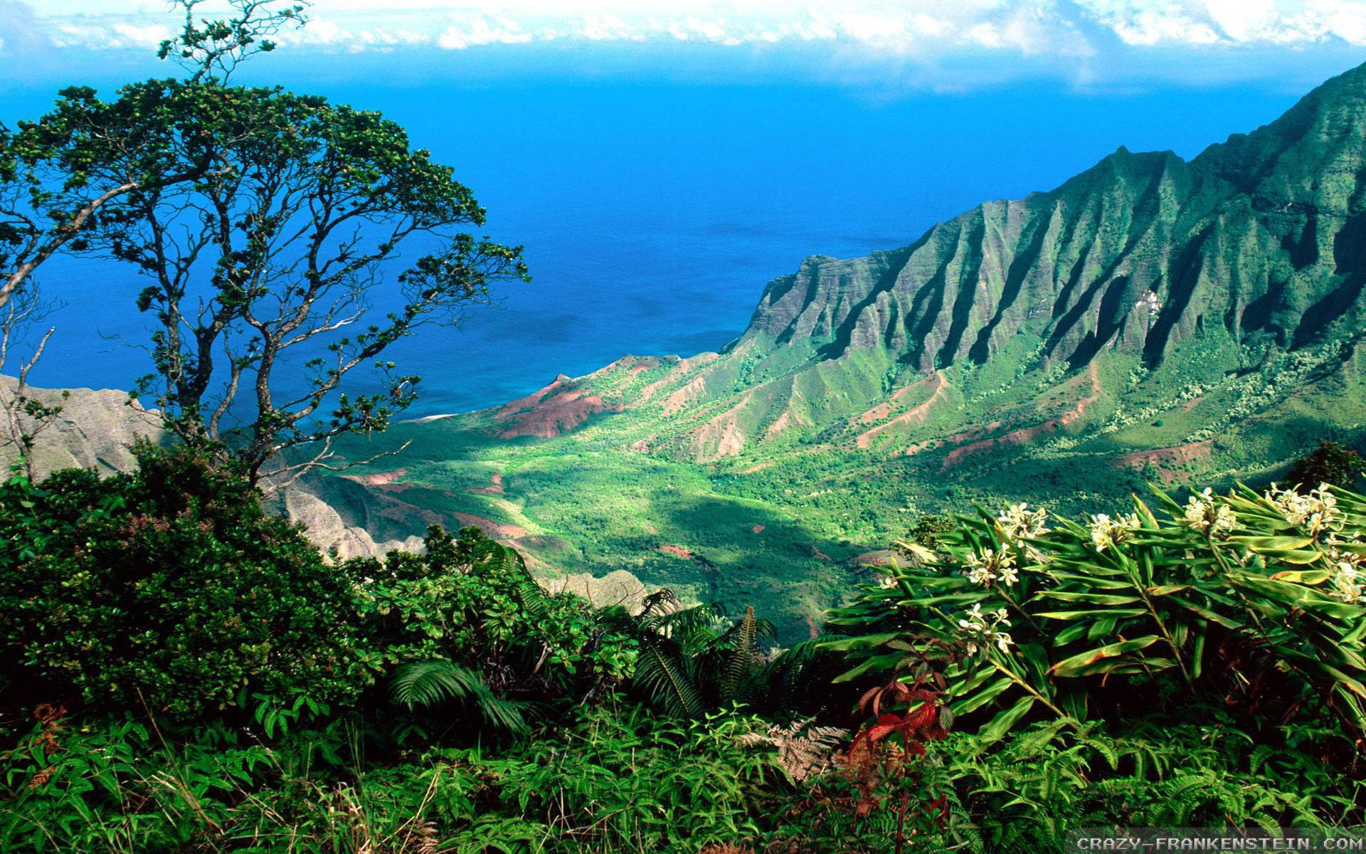 Hawaii Mountains Wallpapers