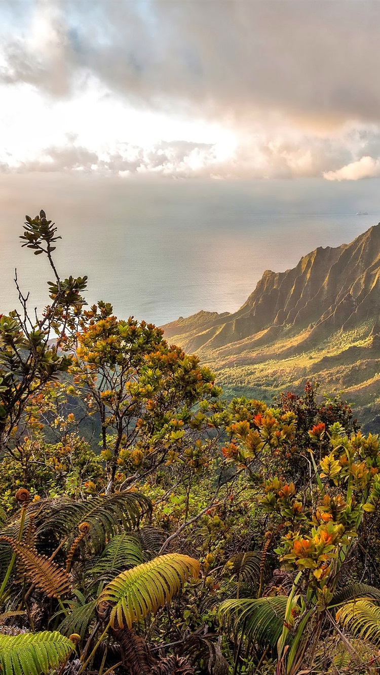 Hawaii Mountains Wallpapers