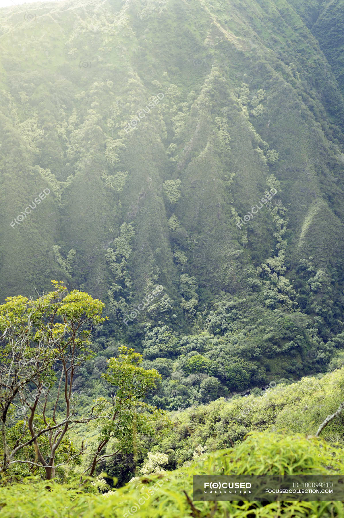 Hawaii Mountains Wallpapers