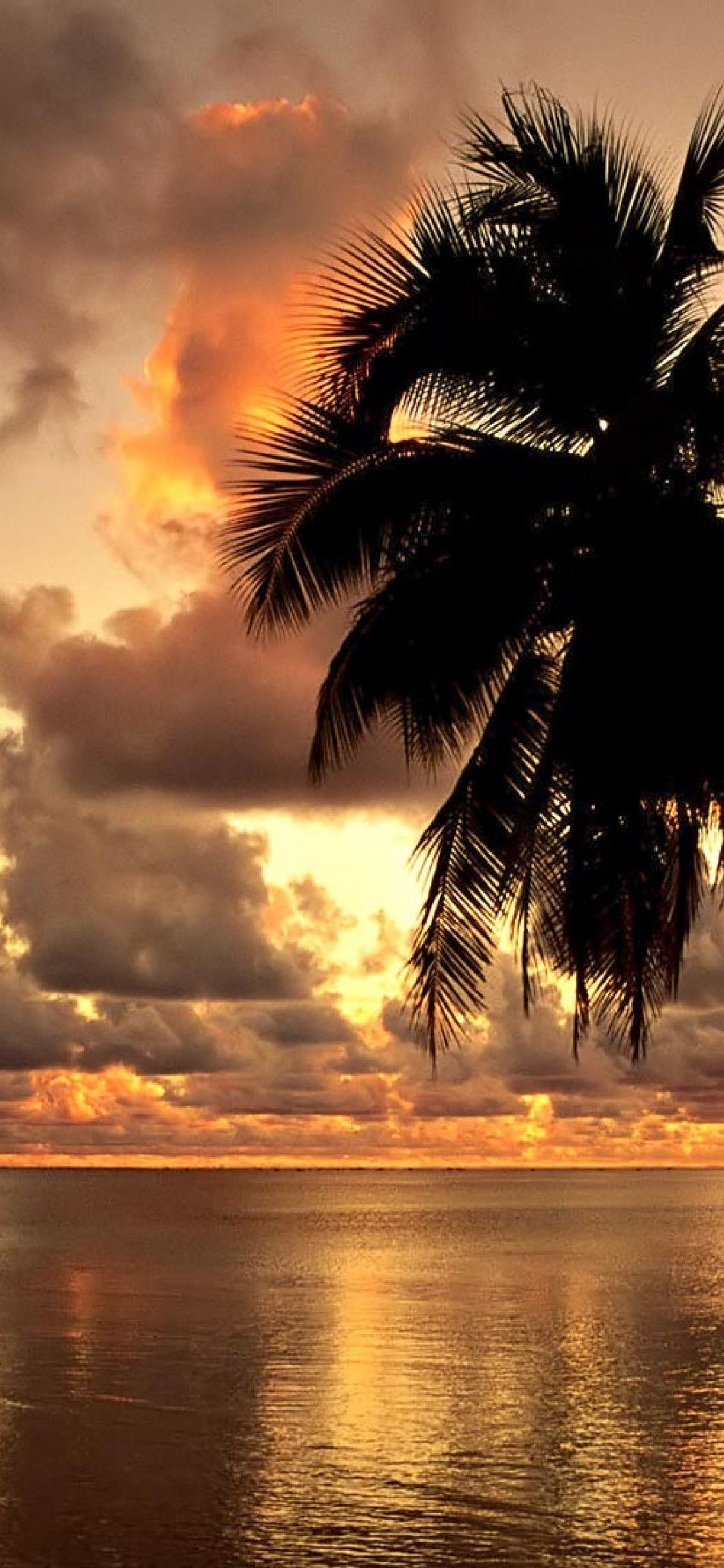 Hawaii Sunrise Wallpapers