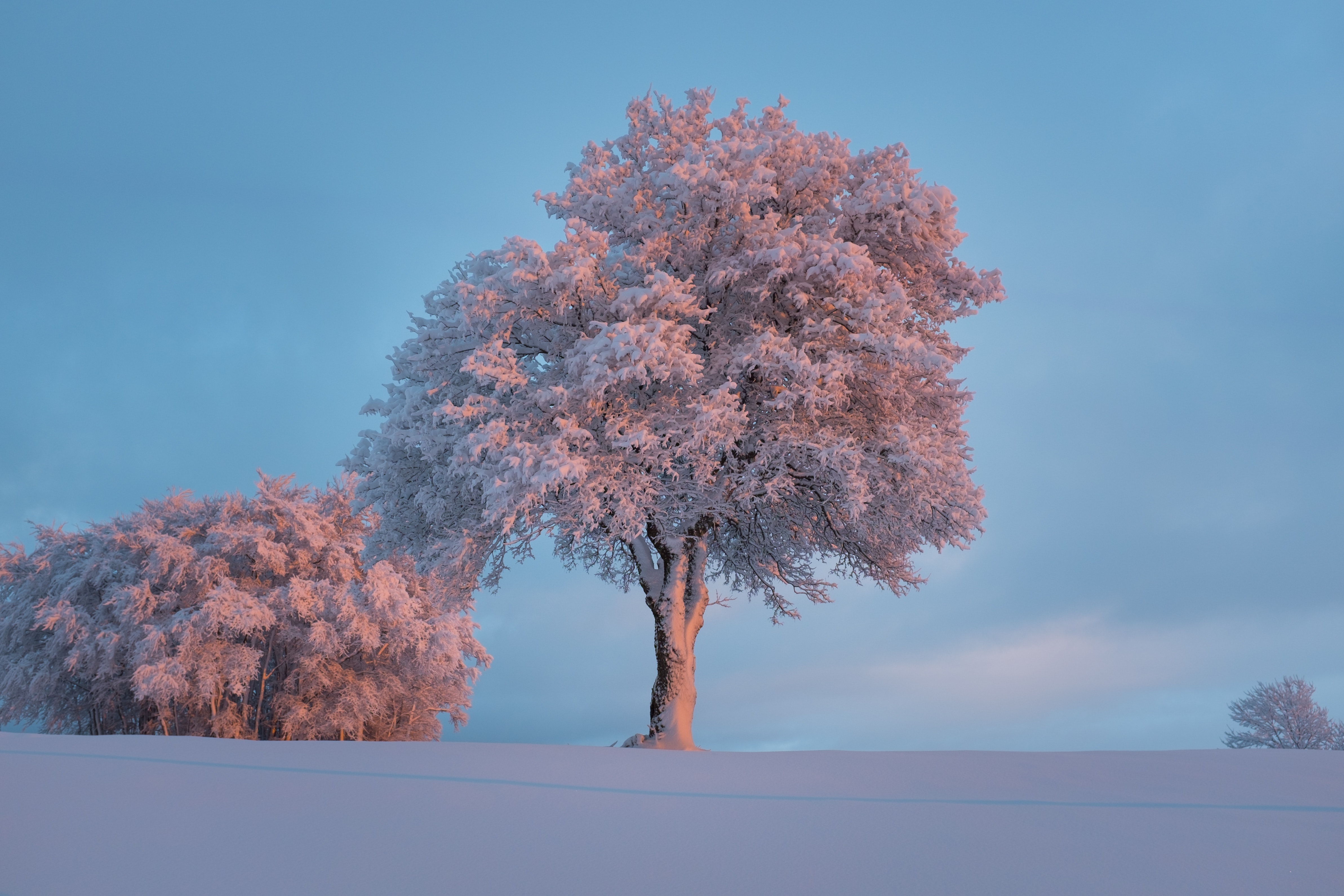 Hd Winter Wallpapers