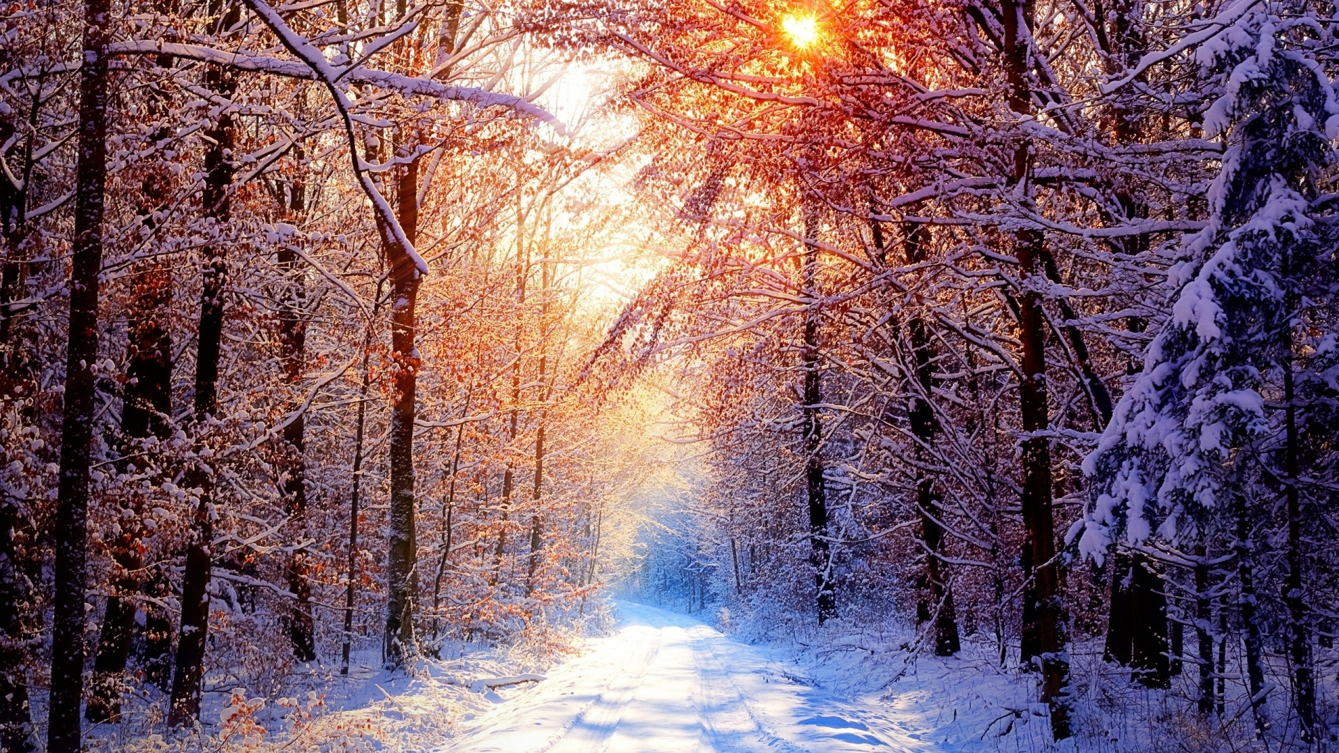 Hd Winter Wallpapers