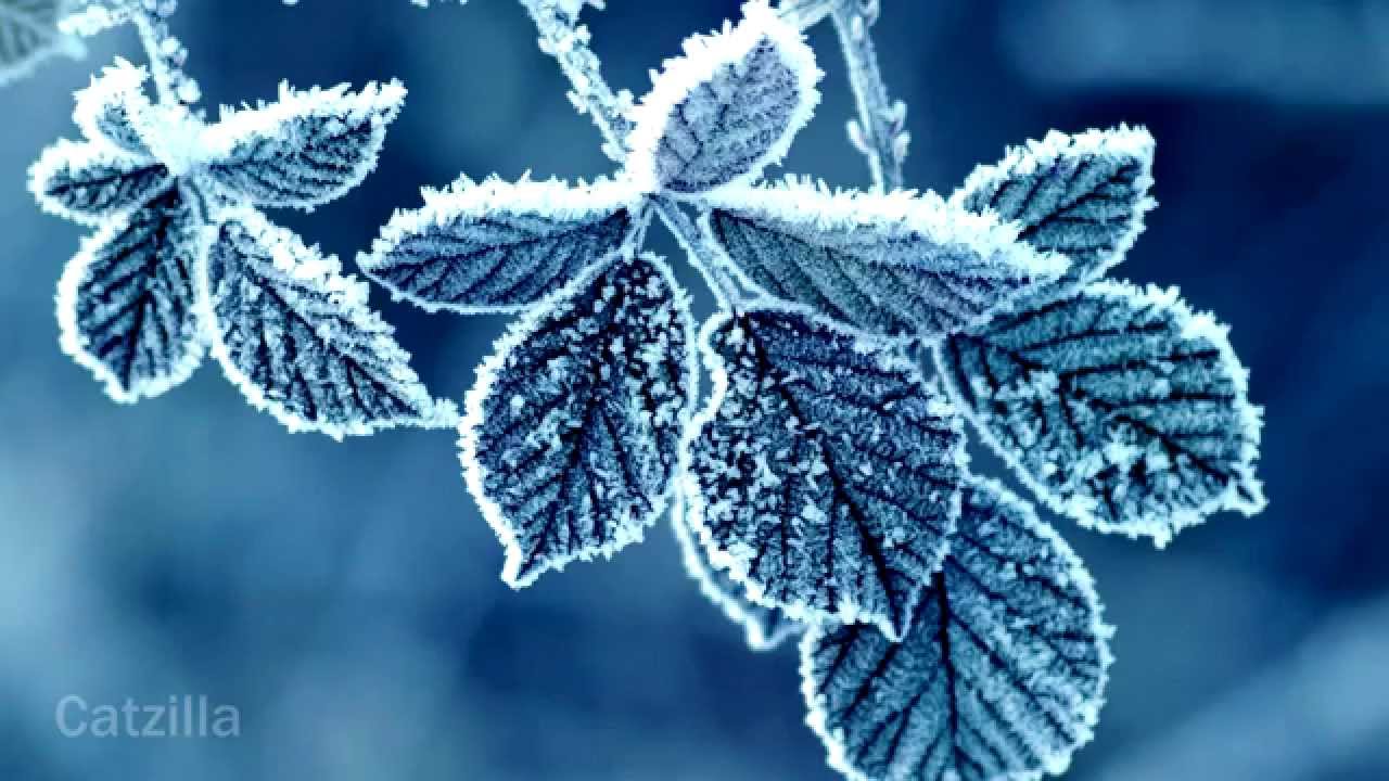 Hd Winter Wallpapers