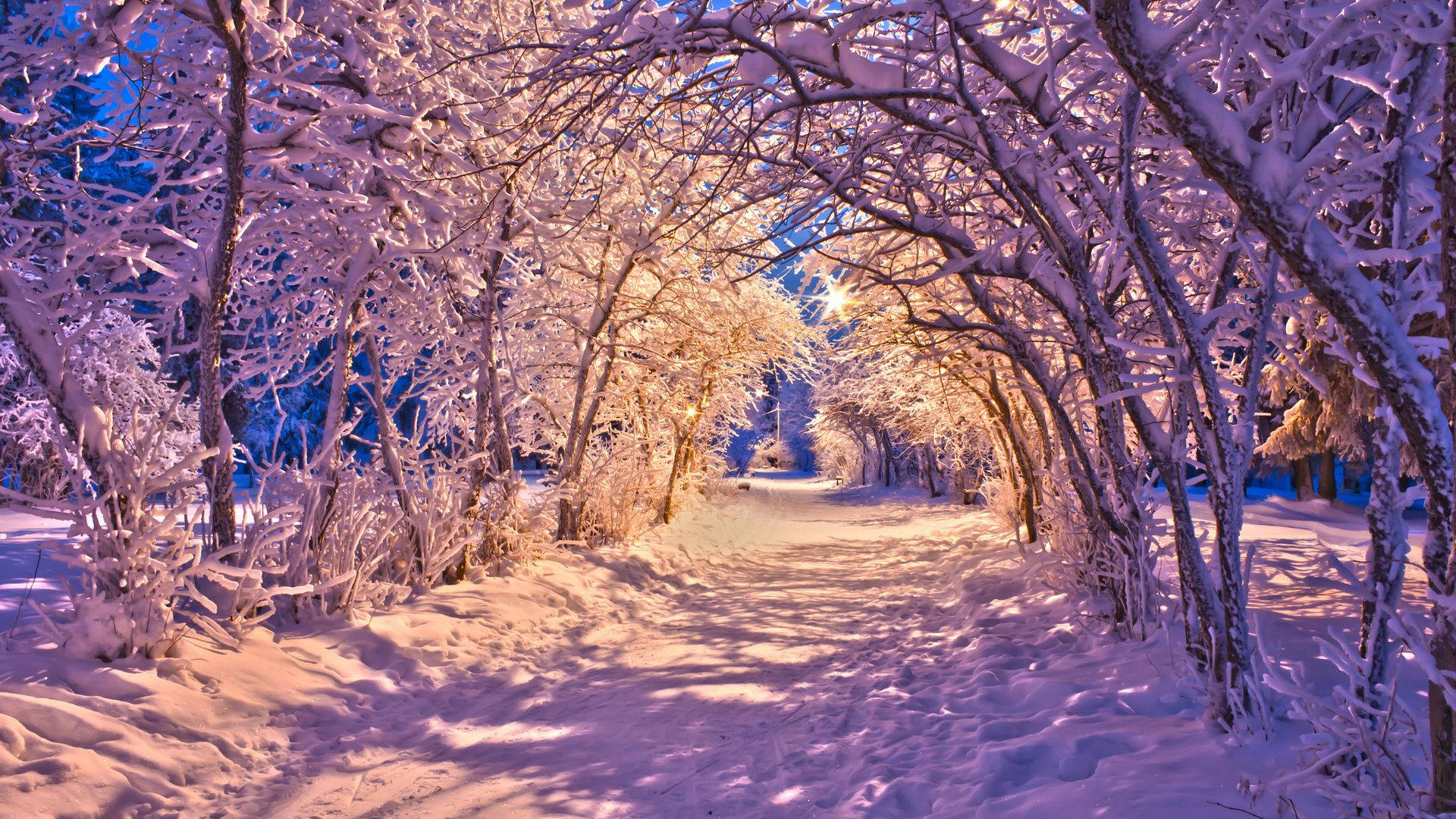 Hd Winter Wallpapers