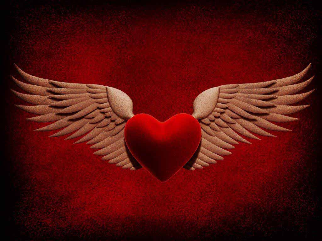 Heart With Wings Wallpapers